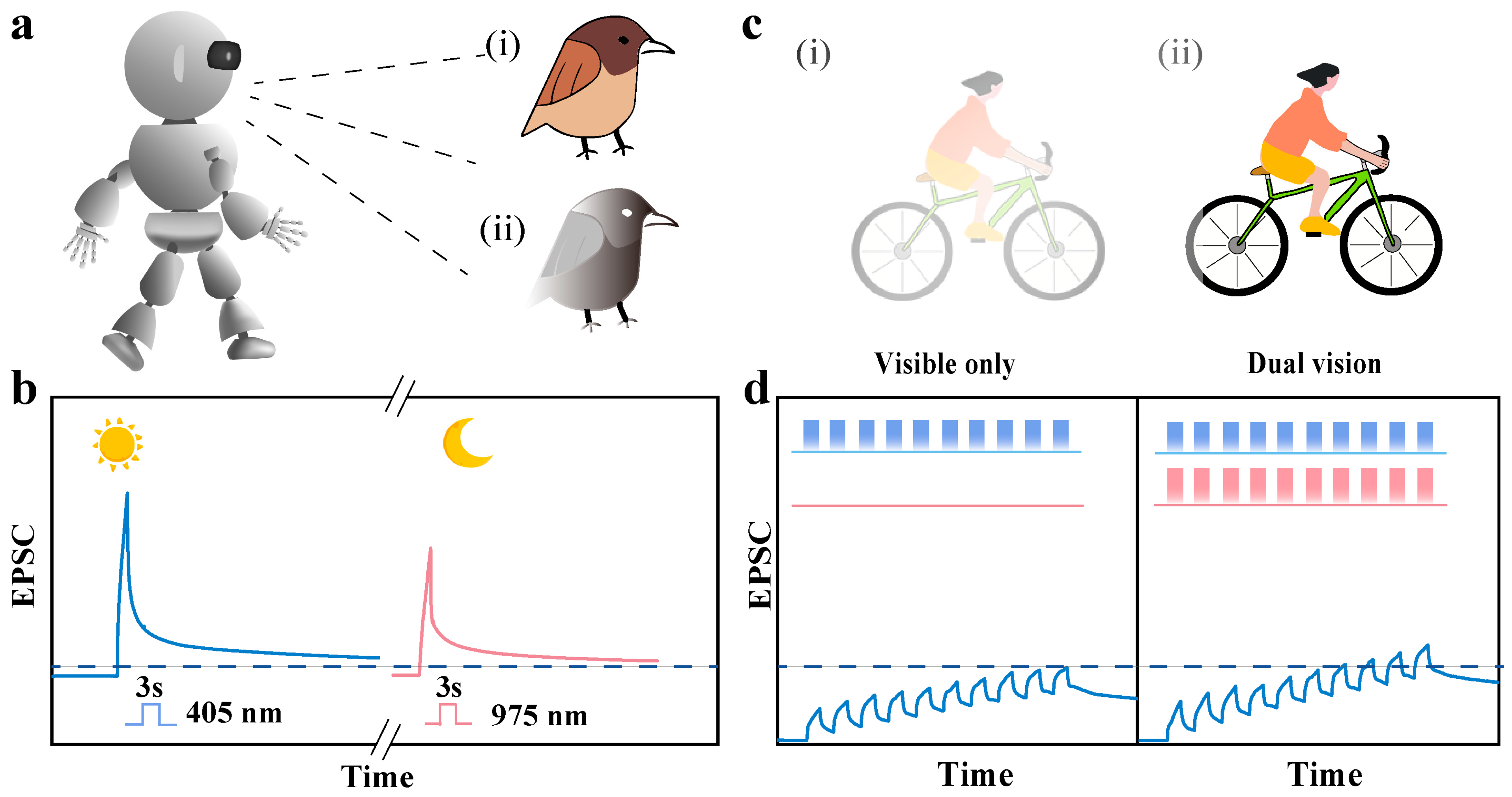 Inorganics 13 00236 g005