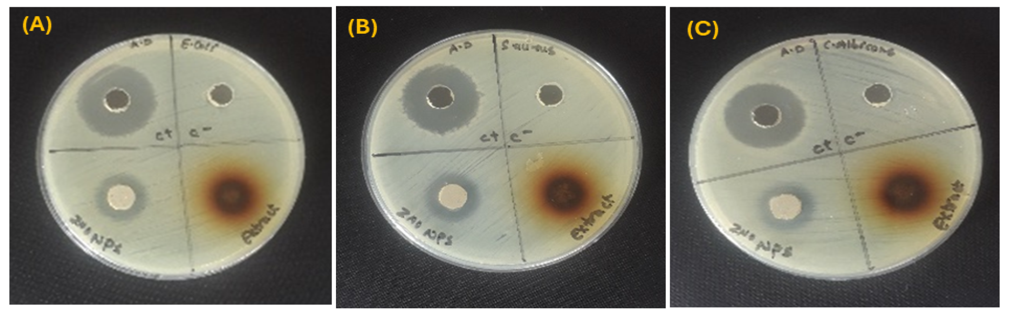 Inorganics 13 00247 g004