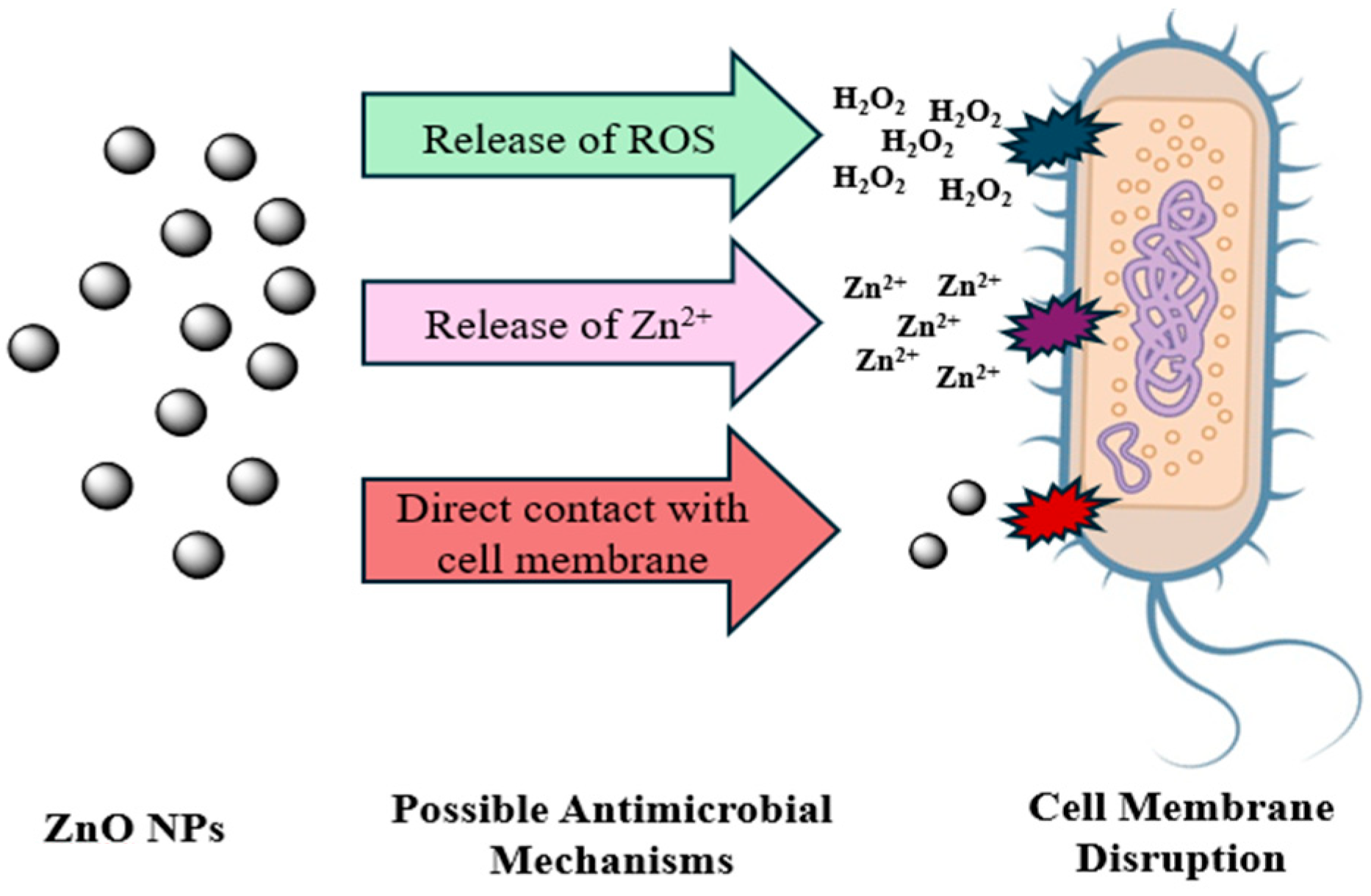 Inorganics 13 00247 g005
