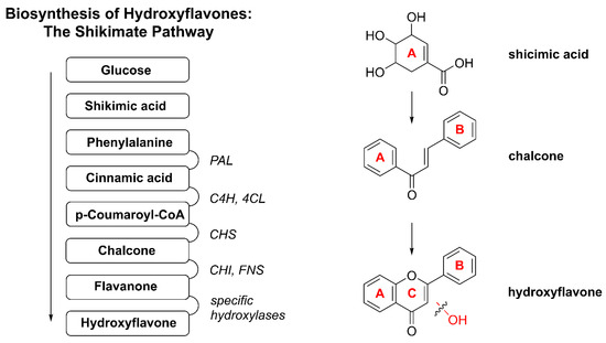 Inorganics 13 00250 g003