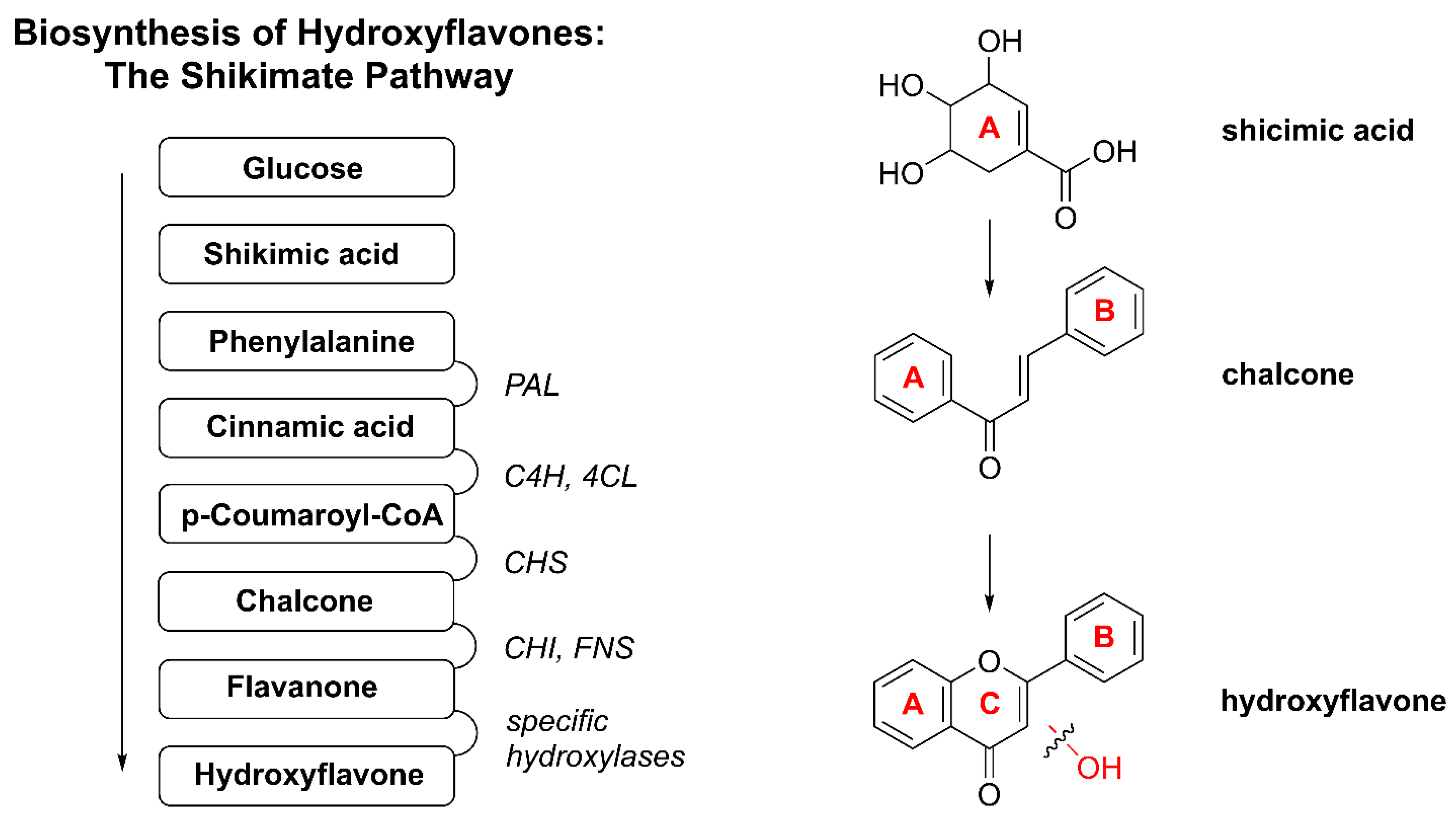 Inorganics 13 00250 g003