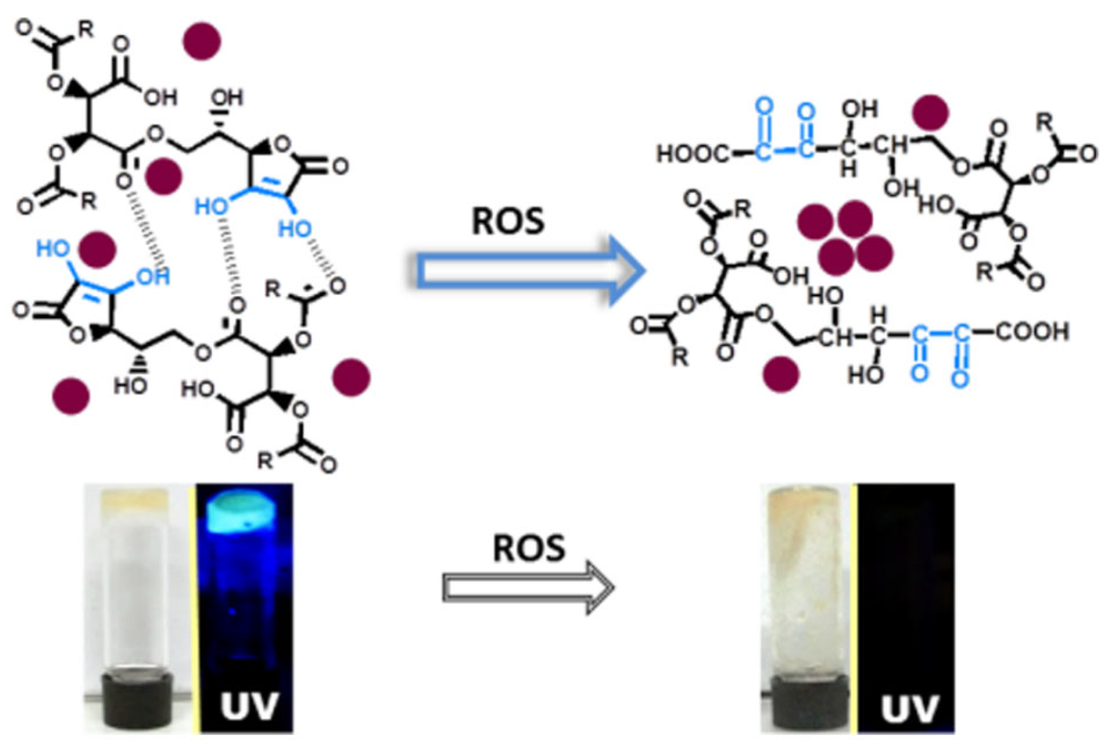 Inorganics 13 00256 g005