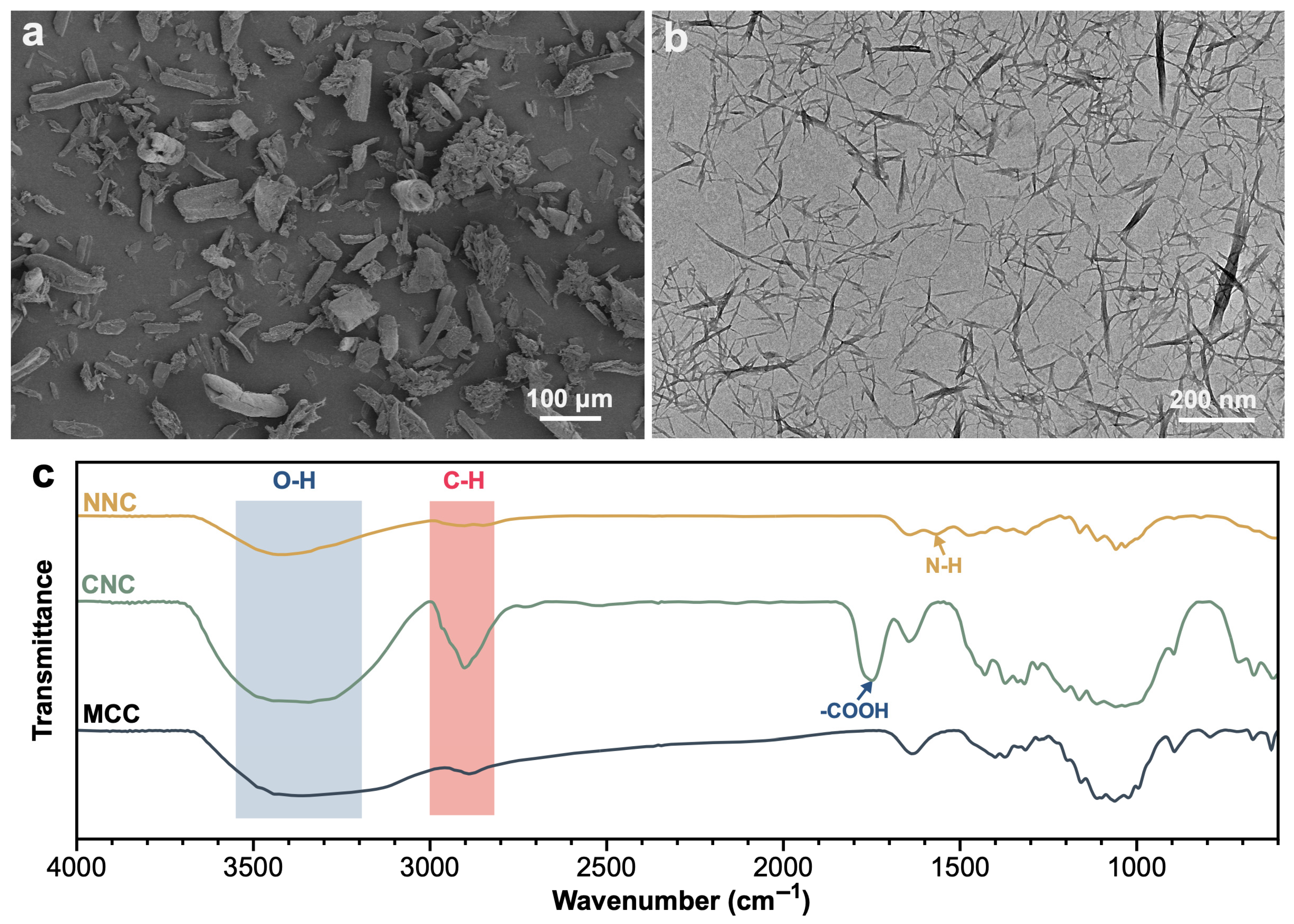 Inorganics 13 00257 g002