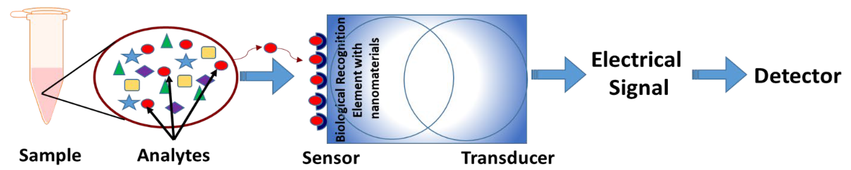 Inorganics 13 00259 g001