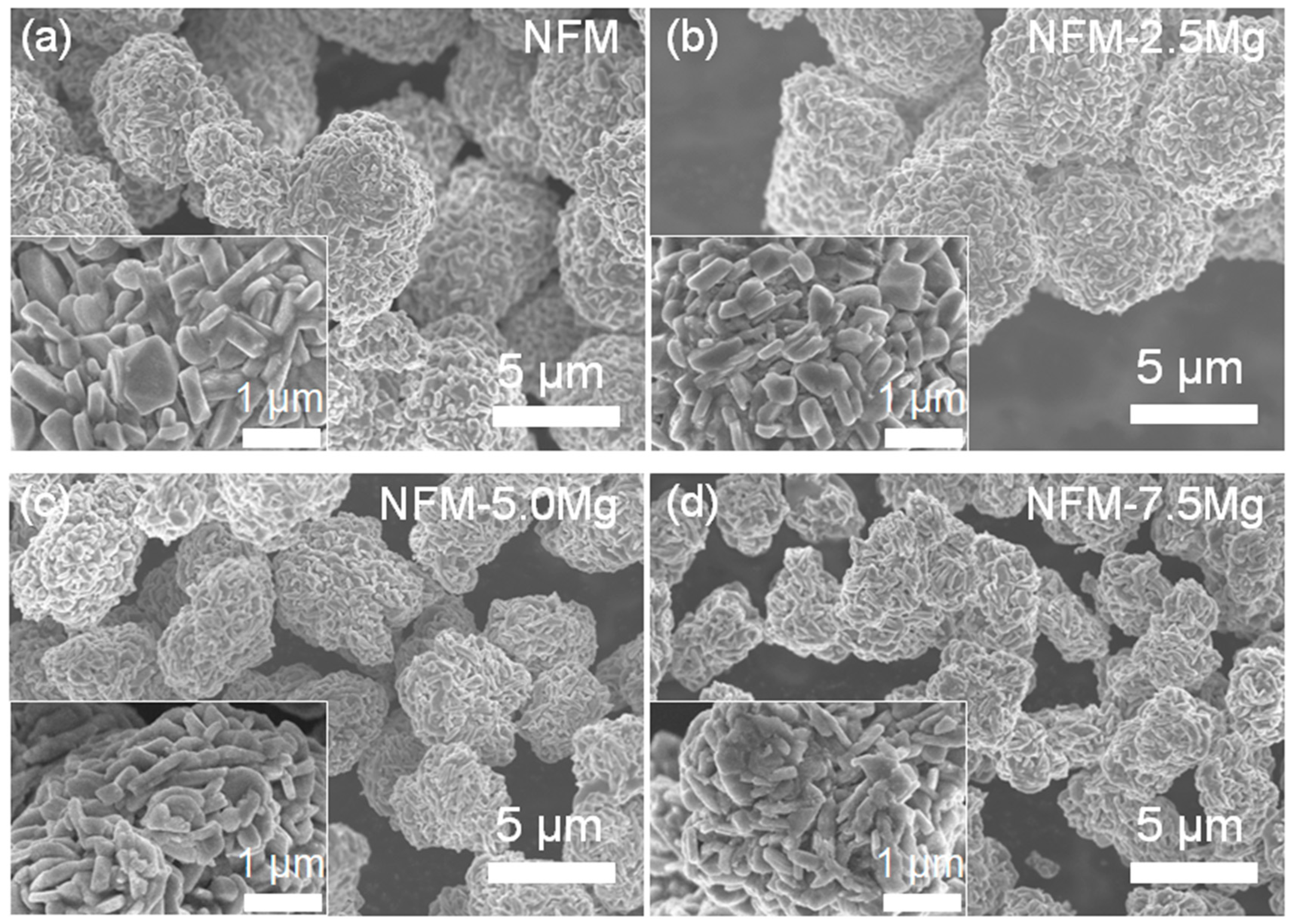 Inorganics 13 00261 g002