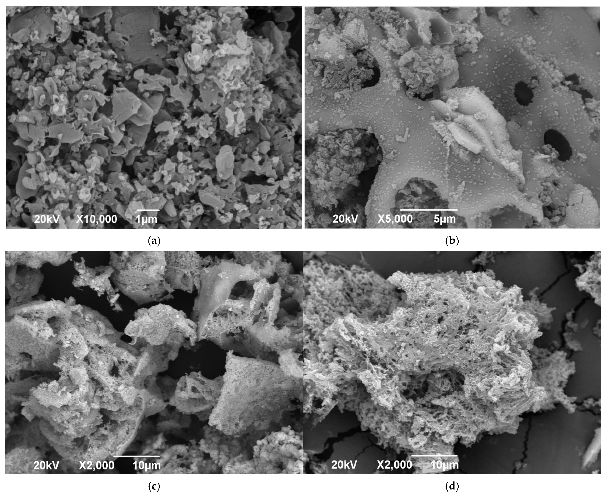 Inorganics 13 00262 g008