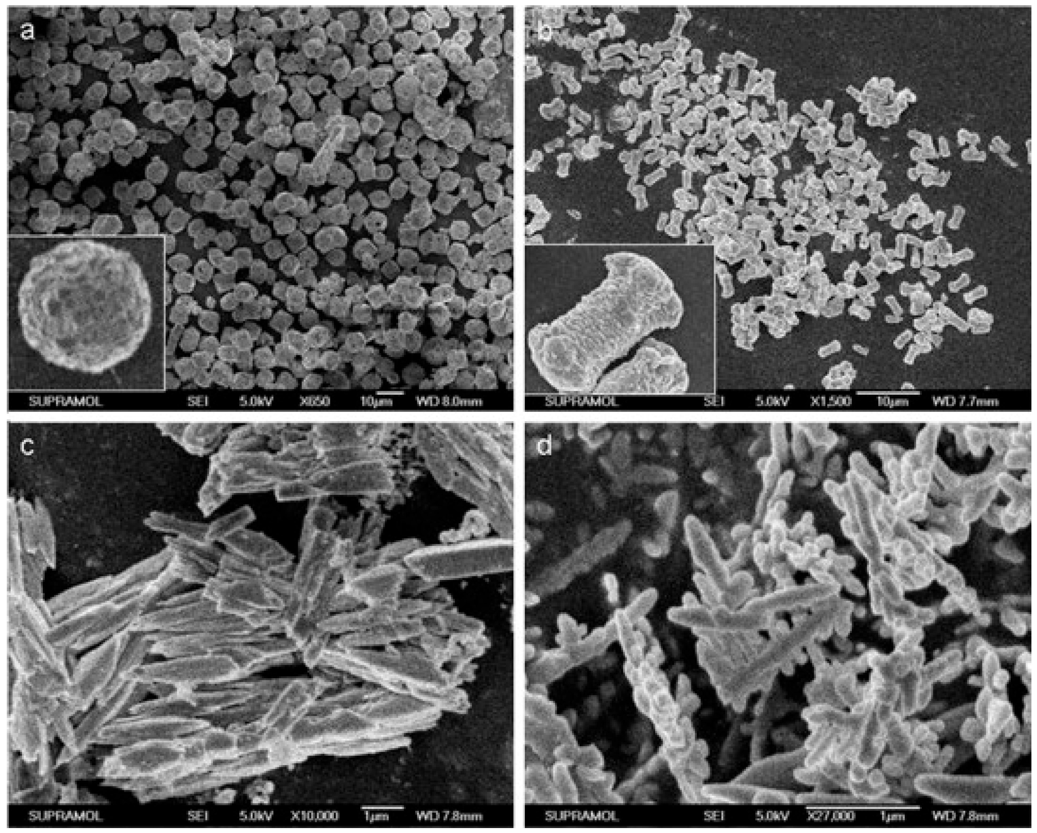 Inorganics 13 00268 g002 Inorganics 13 00268 g002