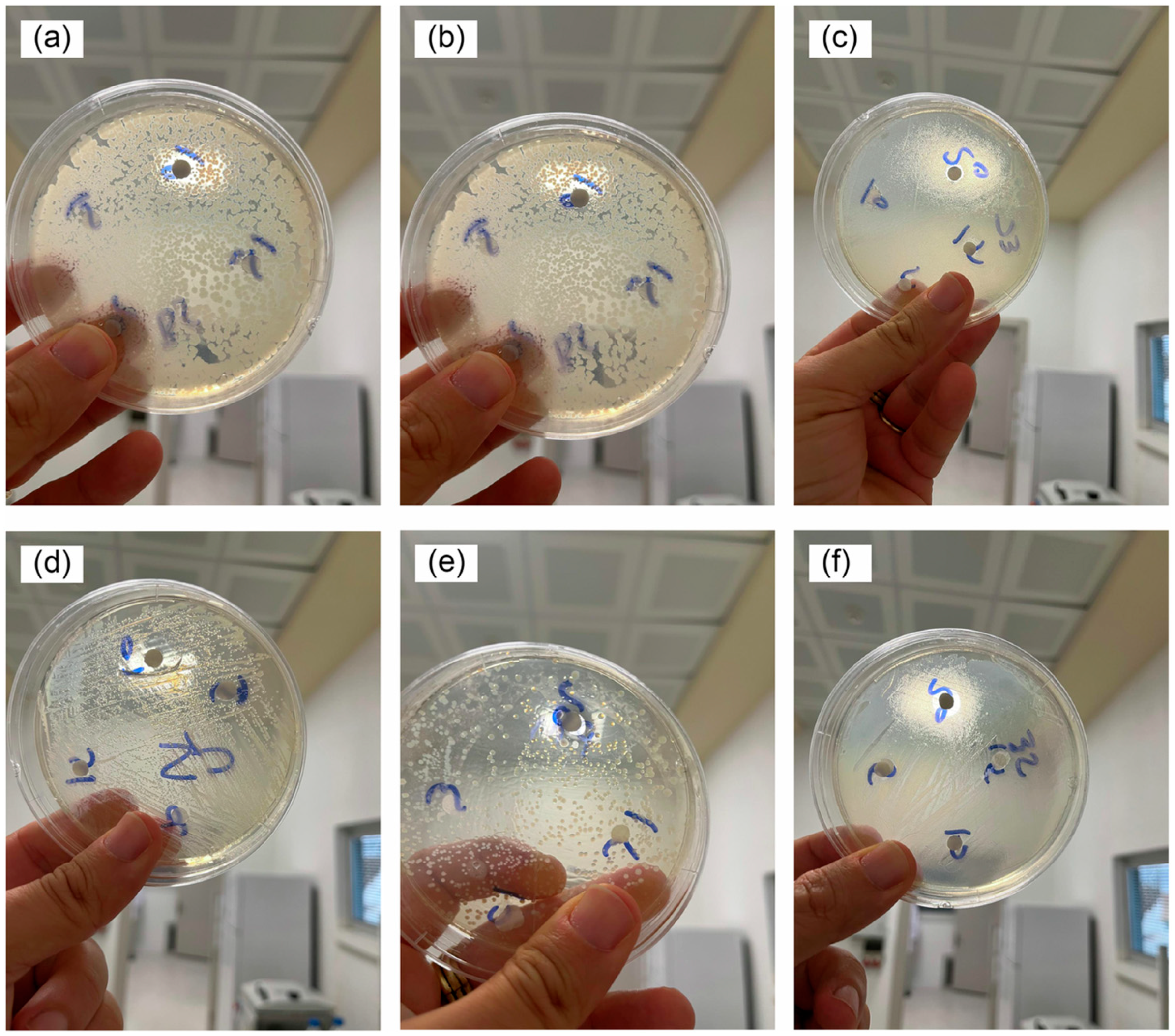 Inorganics 13 00268 g006 Inorganics 13 00268 g006