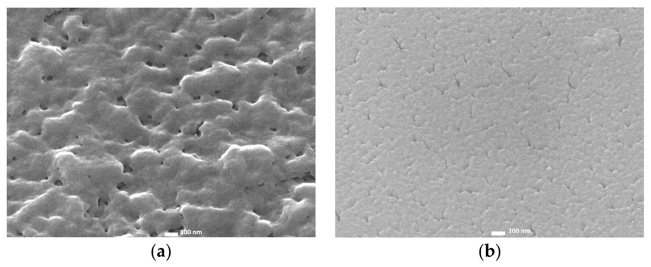 Inorganics 13 00270 g015a