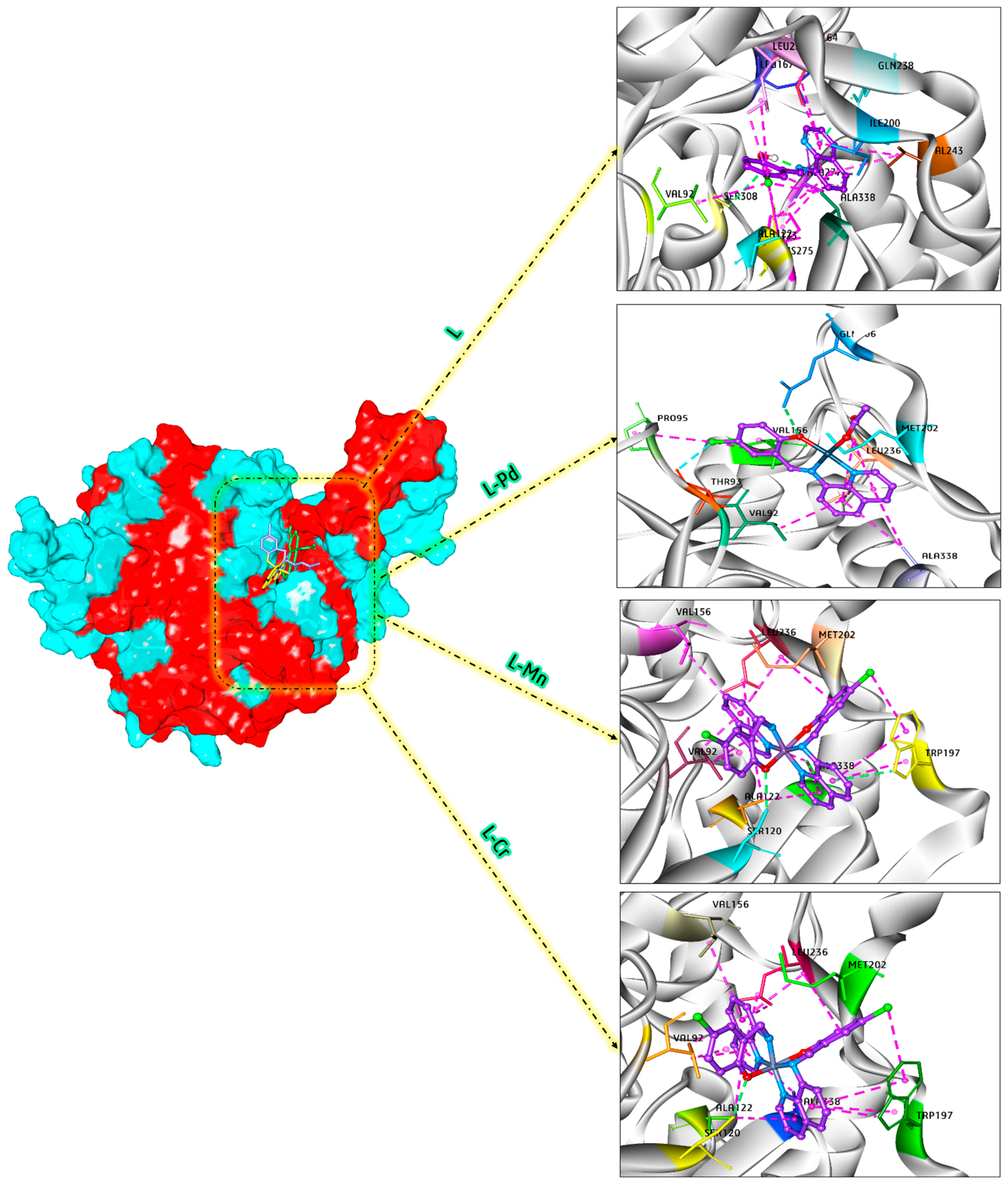 Inorganics 13 00271 g008 Inorganics 13 00271 g008