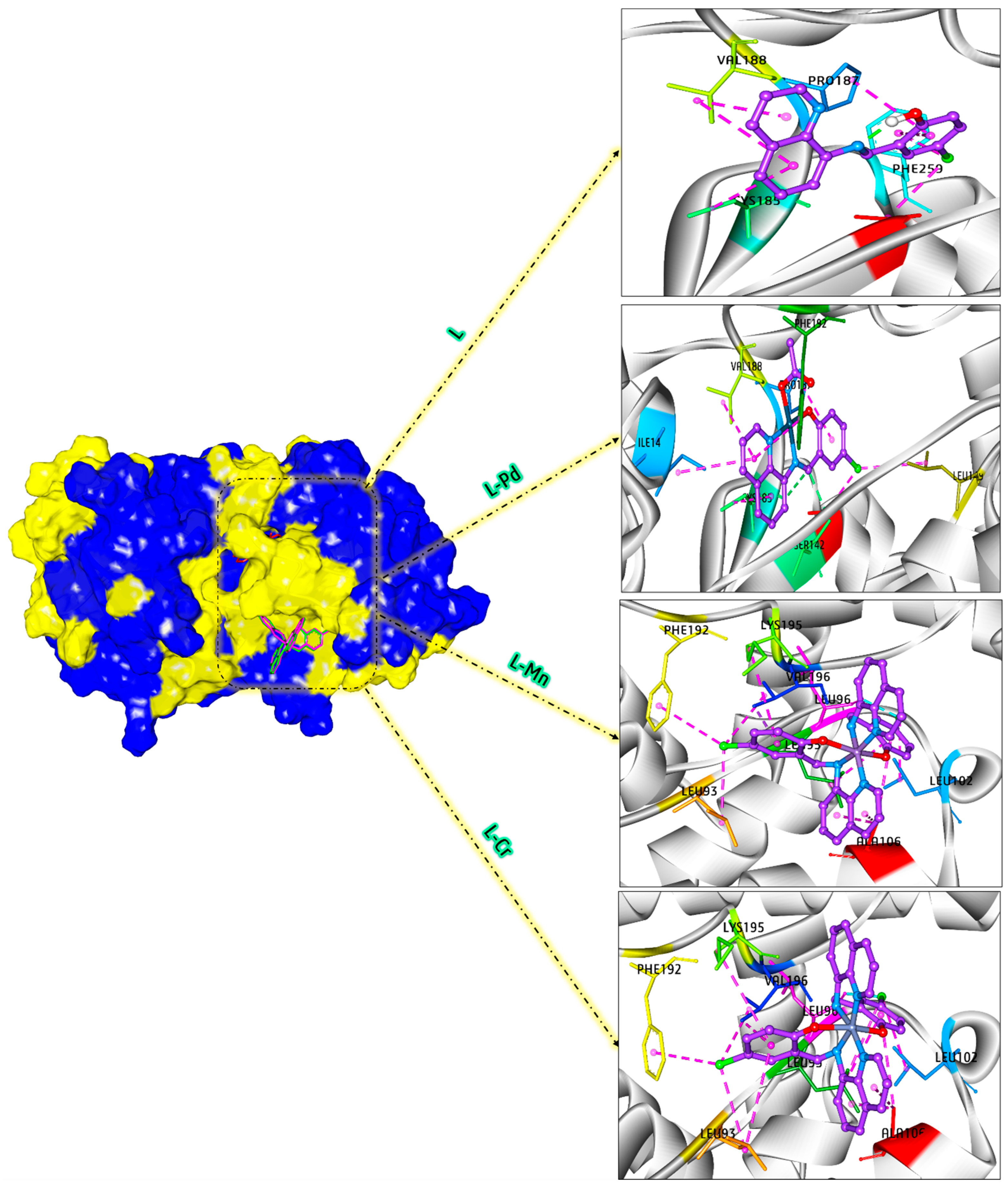 Inorganics 13 00271 g009 Inorganics 13 00271 g009