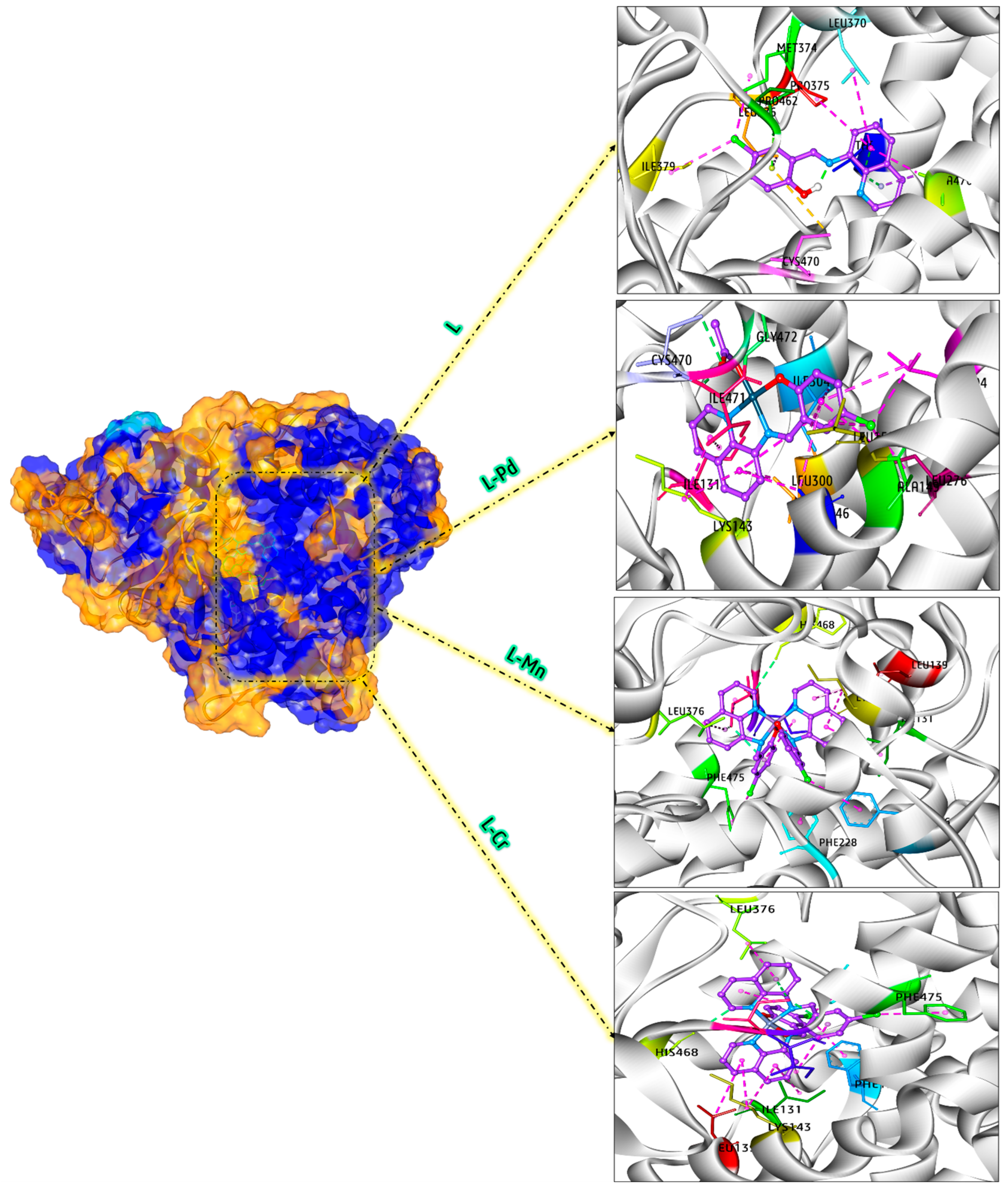 Inorganics 13 00271 g010 Inorganics 13 00271 g010