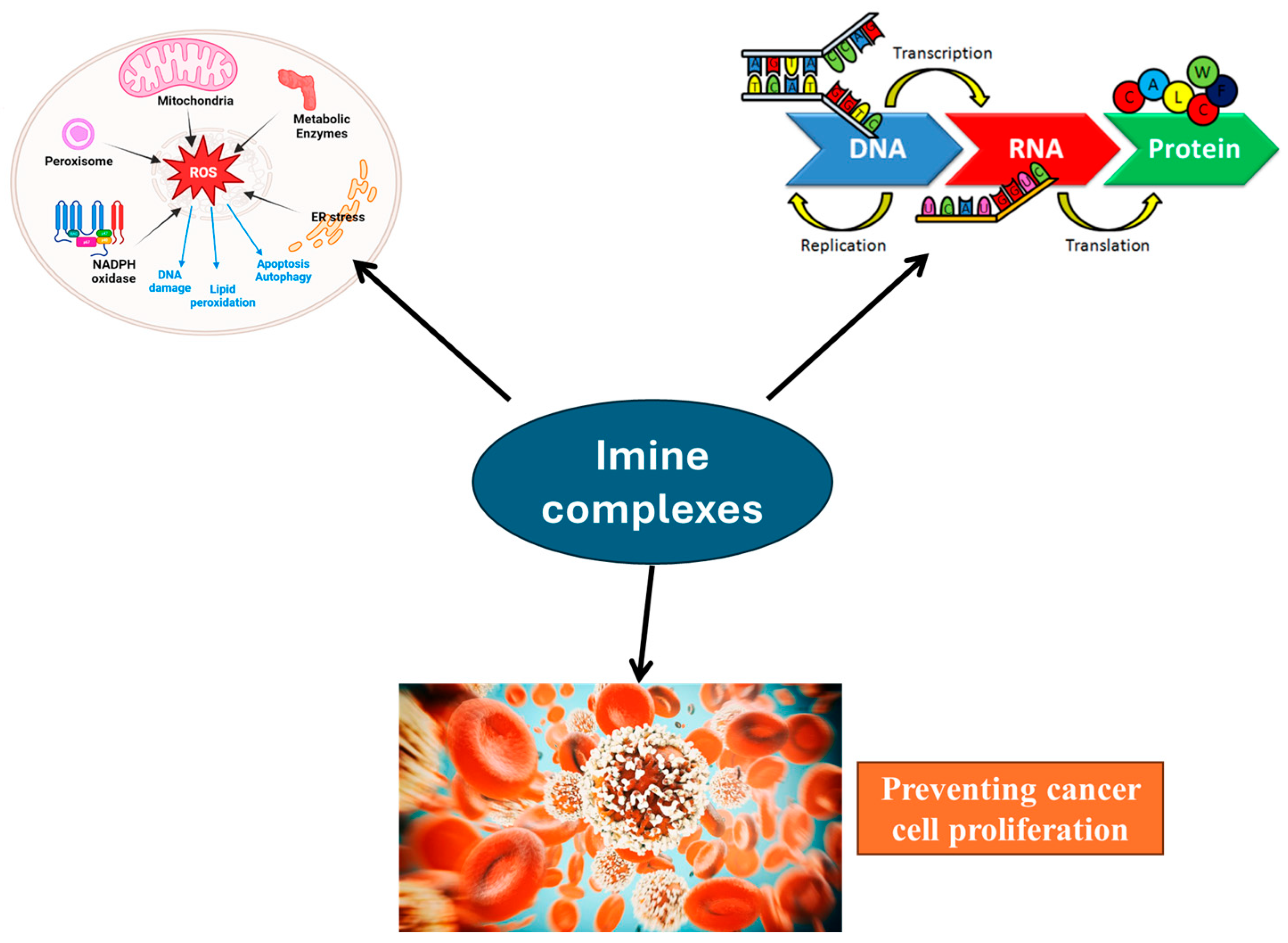 Inorganics 13 00271 g014 Inorganics 13 00271 g014