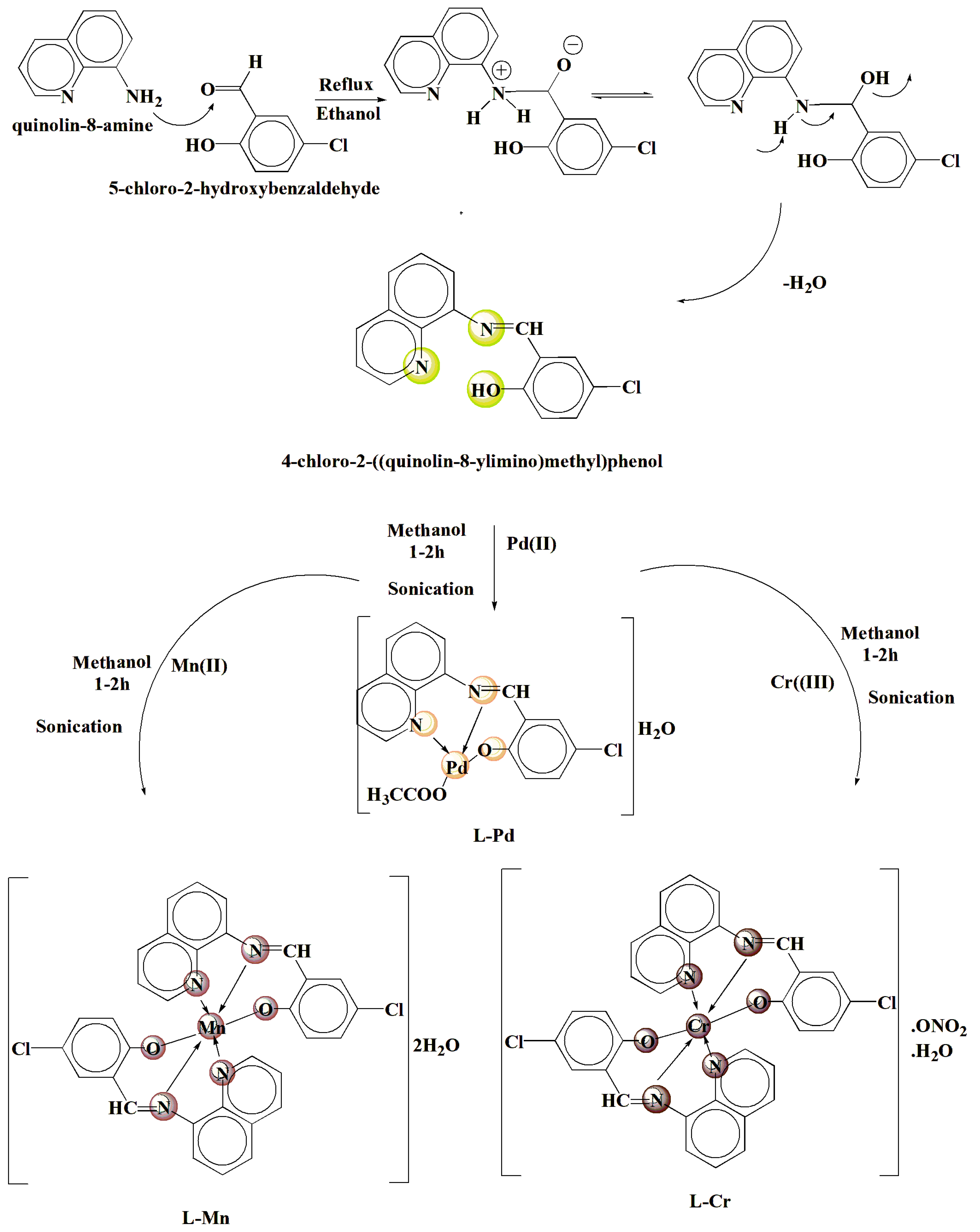 Inorganics 13 00271 sch001 Inorganics 13 00271 sch001