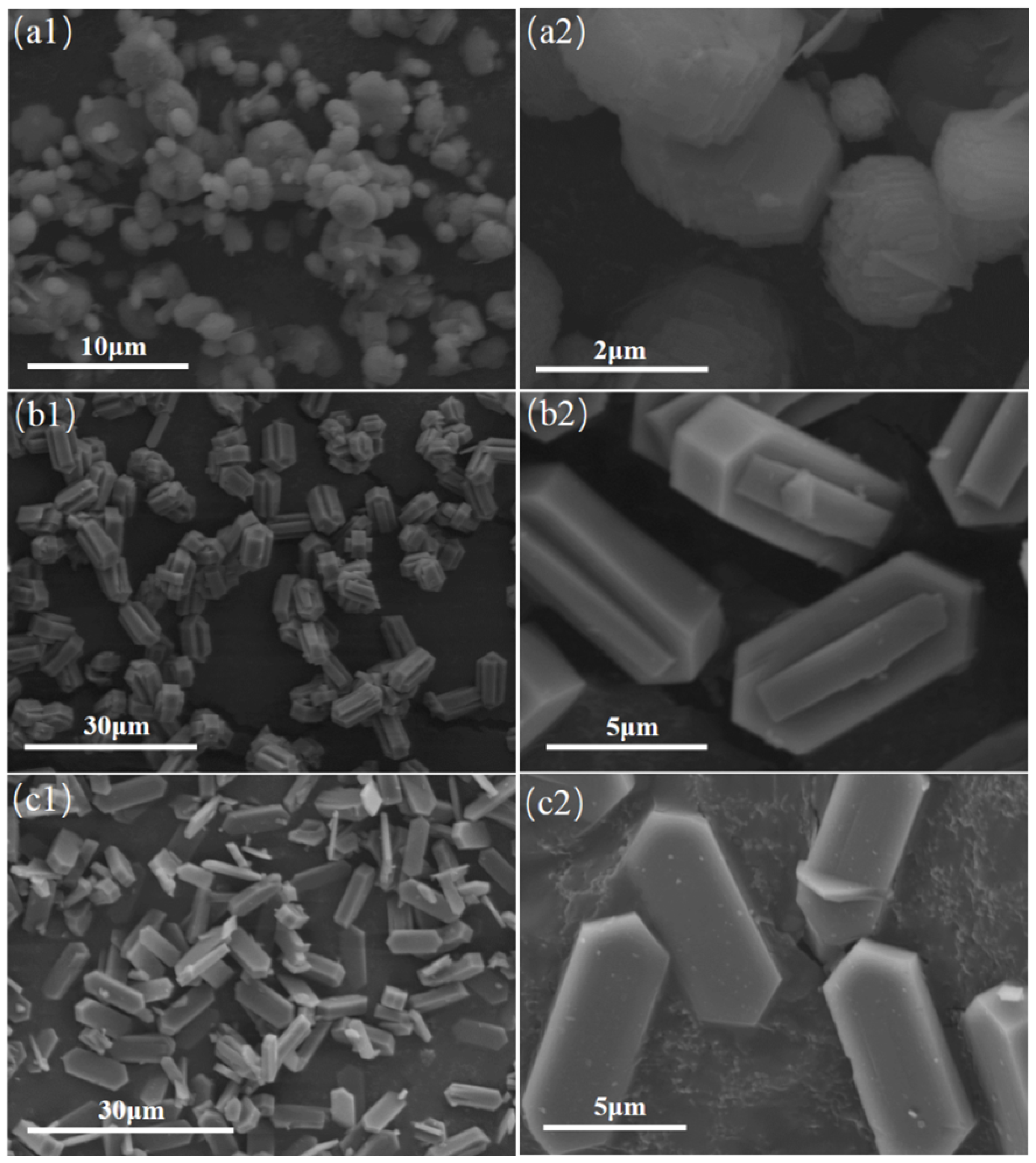 Inorganics 13 00272 g002 Inorganics 13 00272 g002