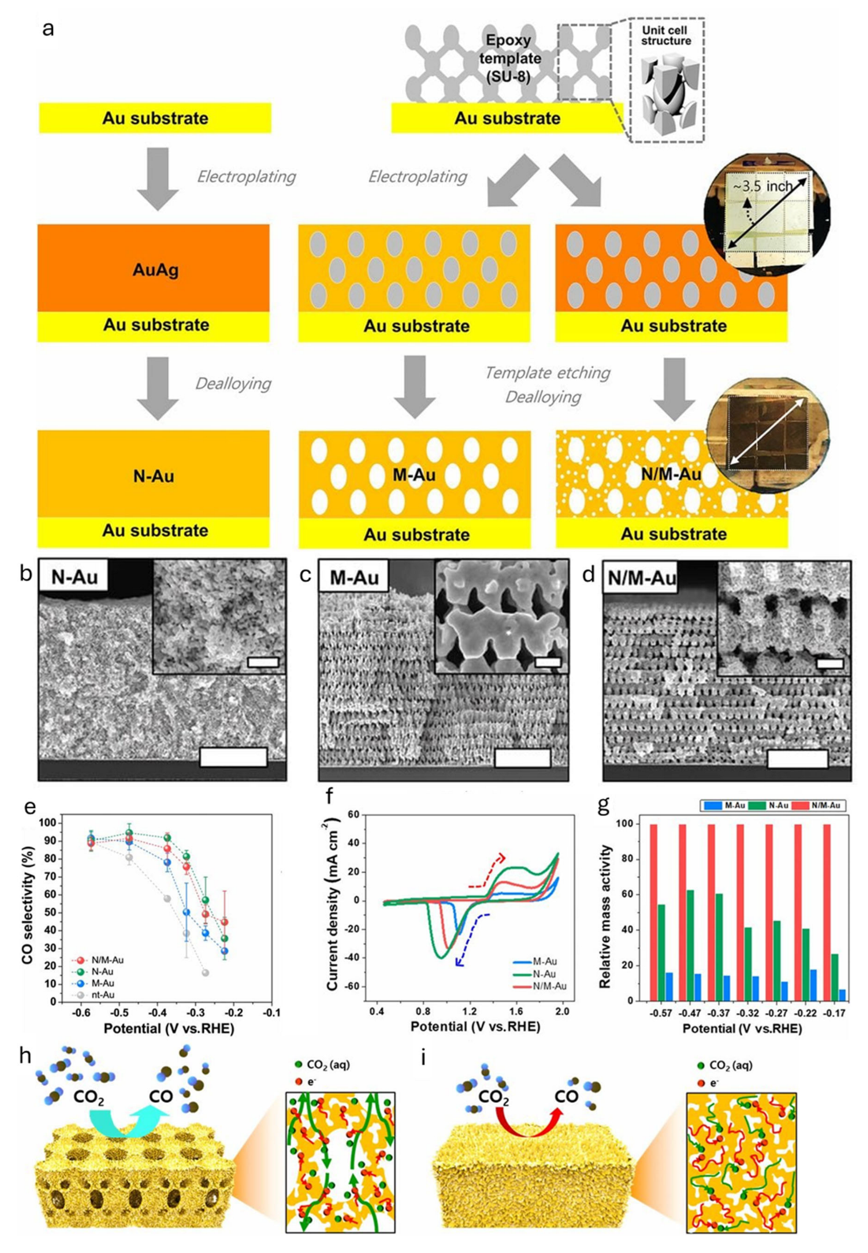 Inorganics 13 00276 g003 Inorganics 13 00276 g003