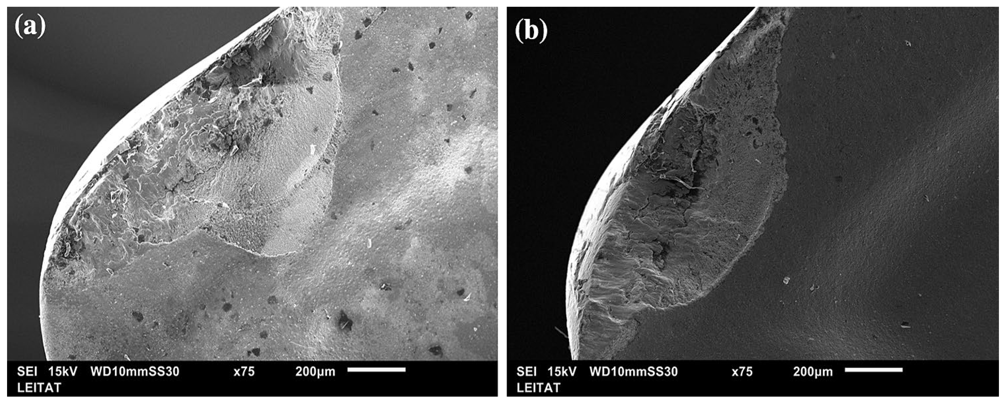 Inorganics 13 00281 g004