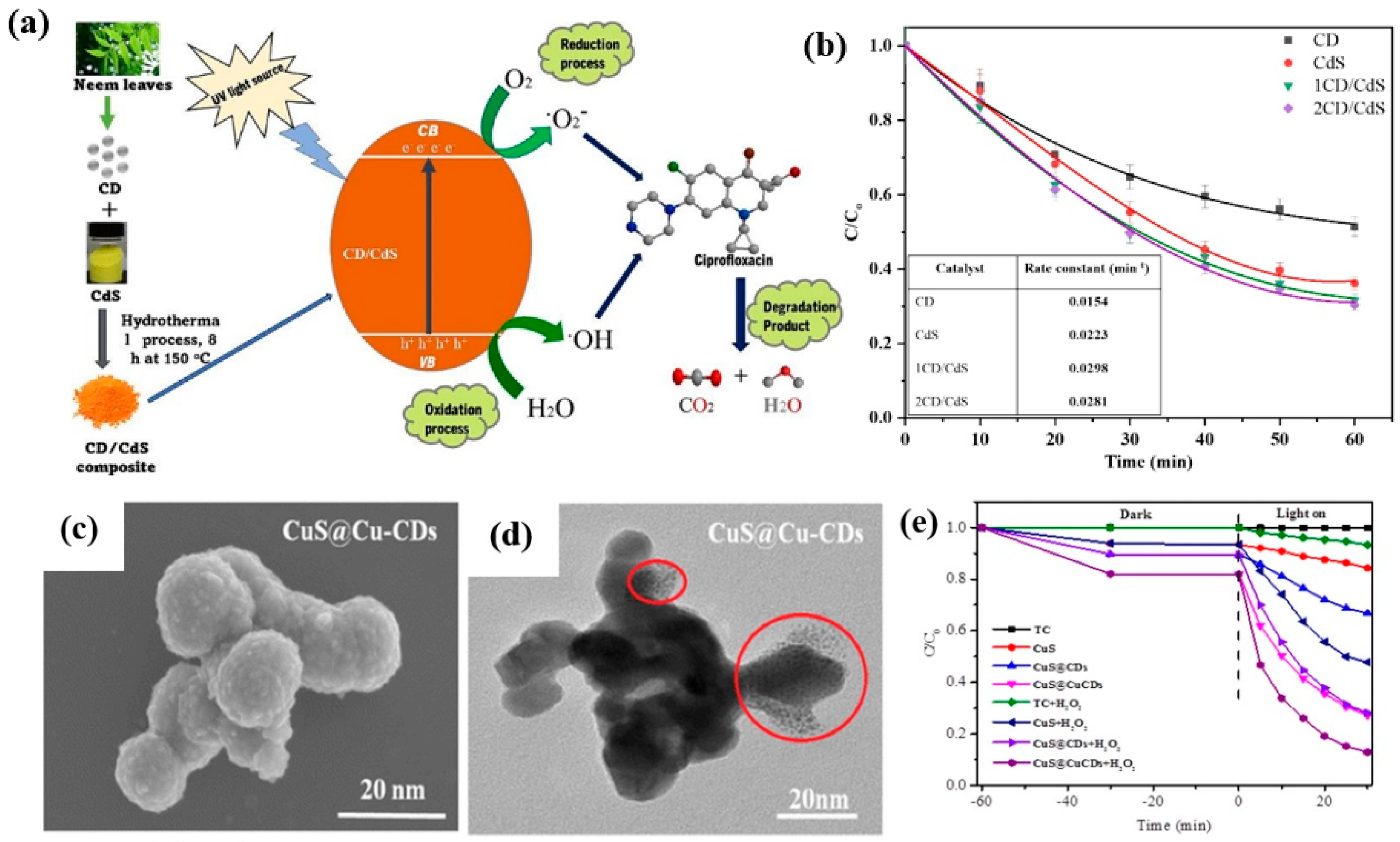 Inorganics 13 00286 g010a