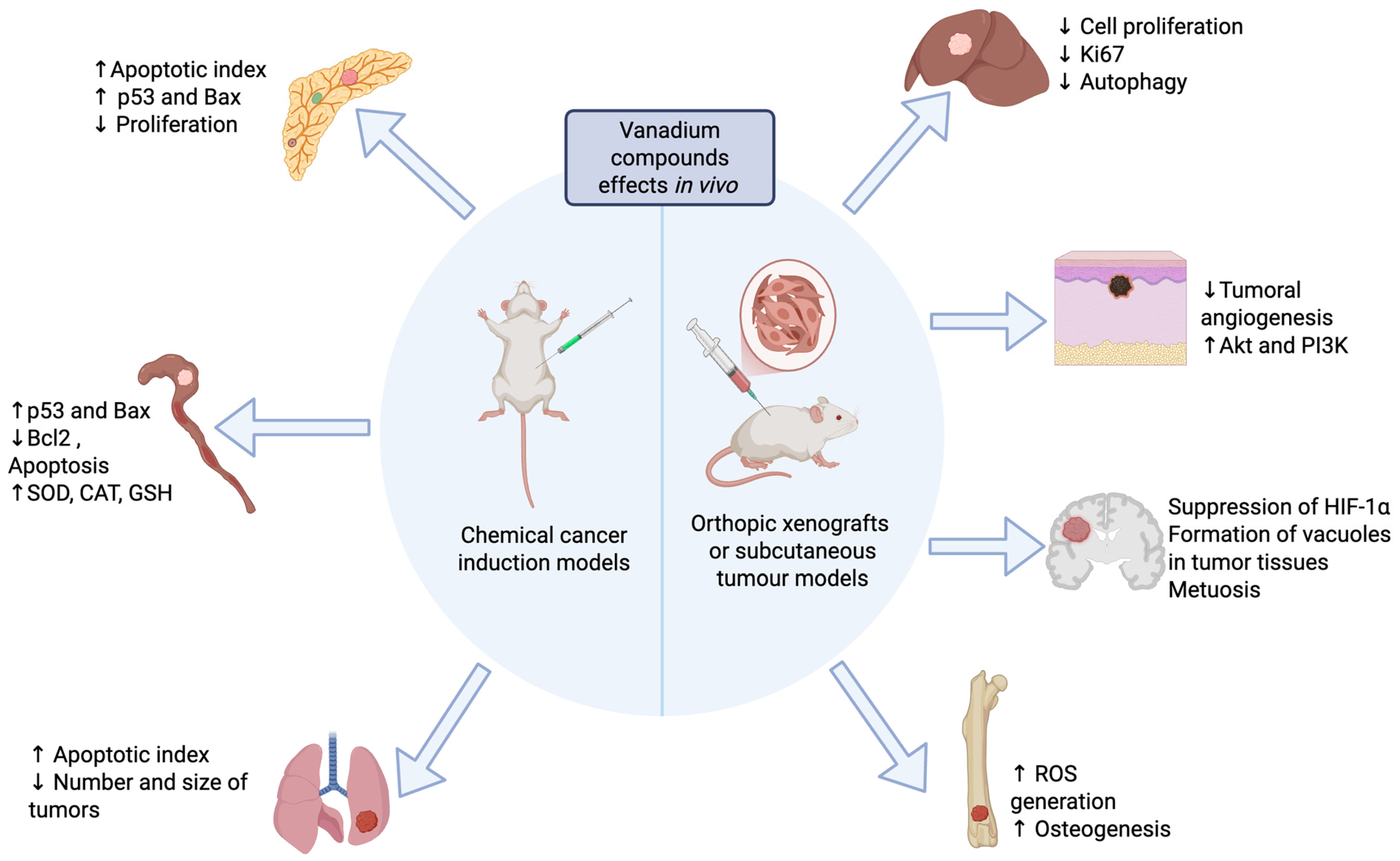 Inorganics 13 00298 g001