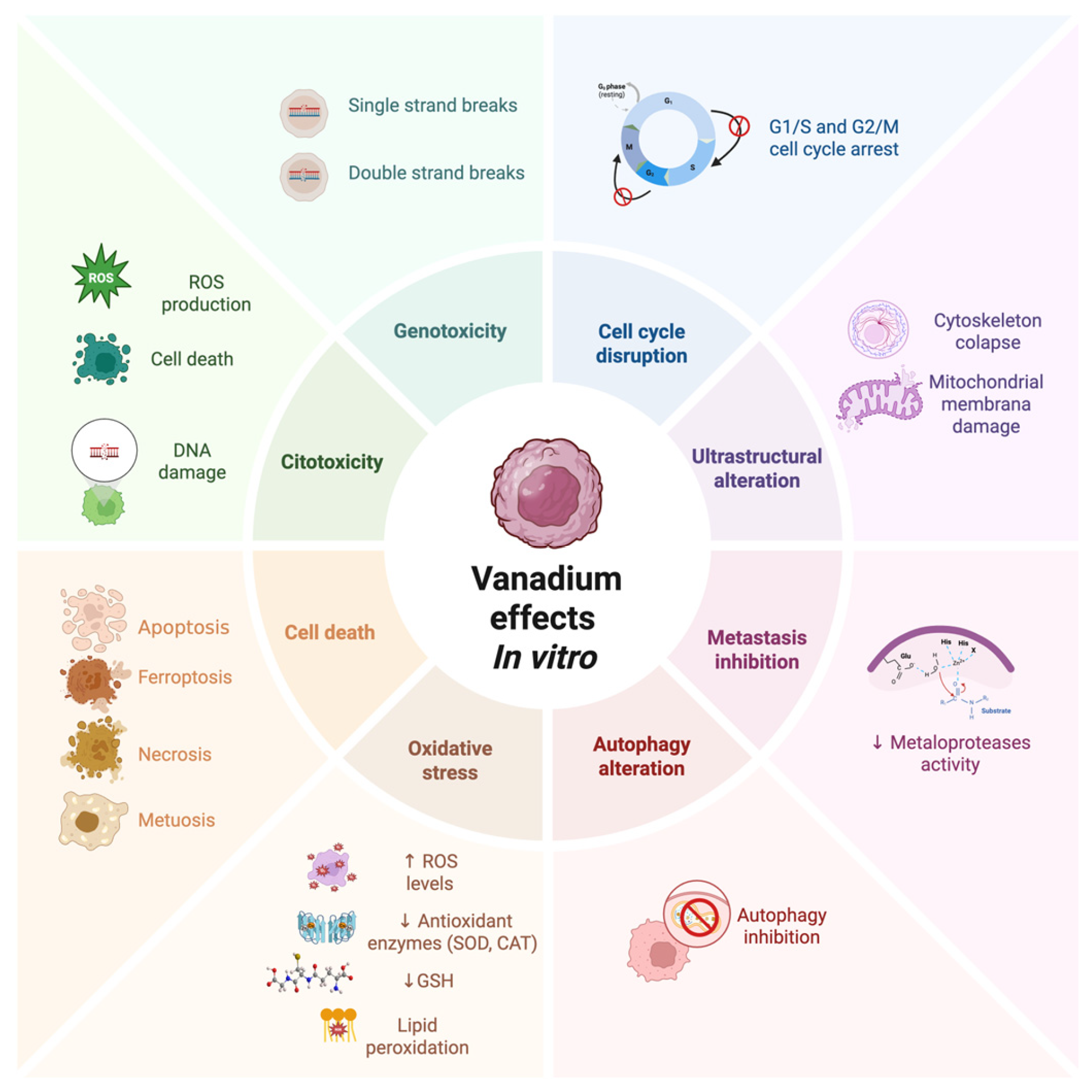 Inorganics 13 00298 g002