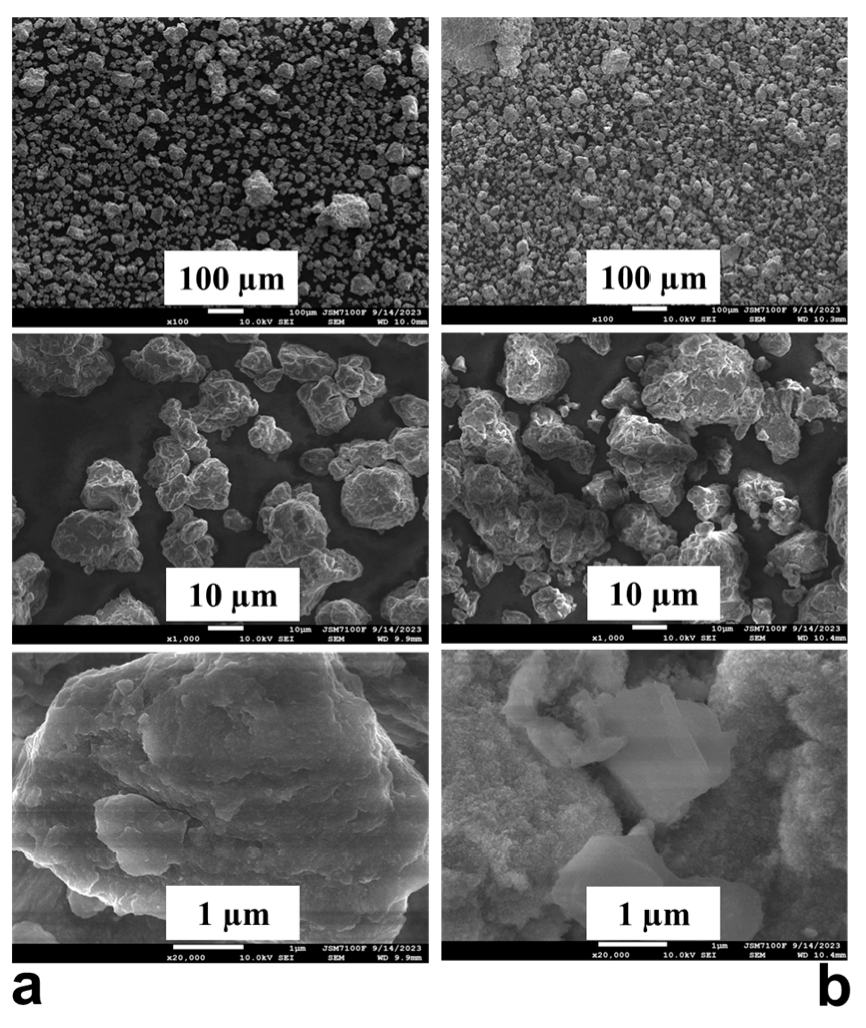 Inorganics 13 00299 g005