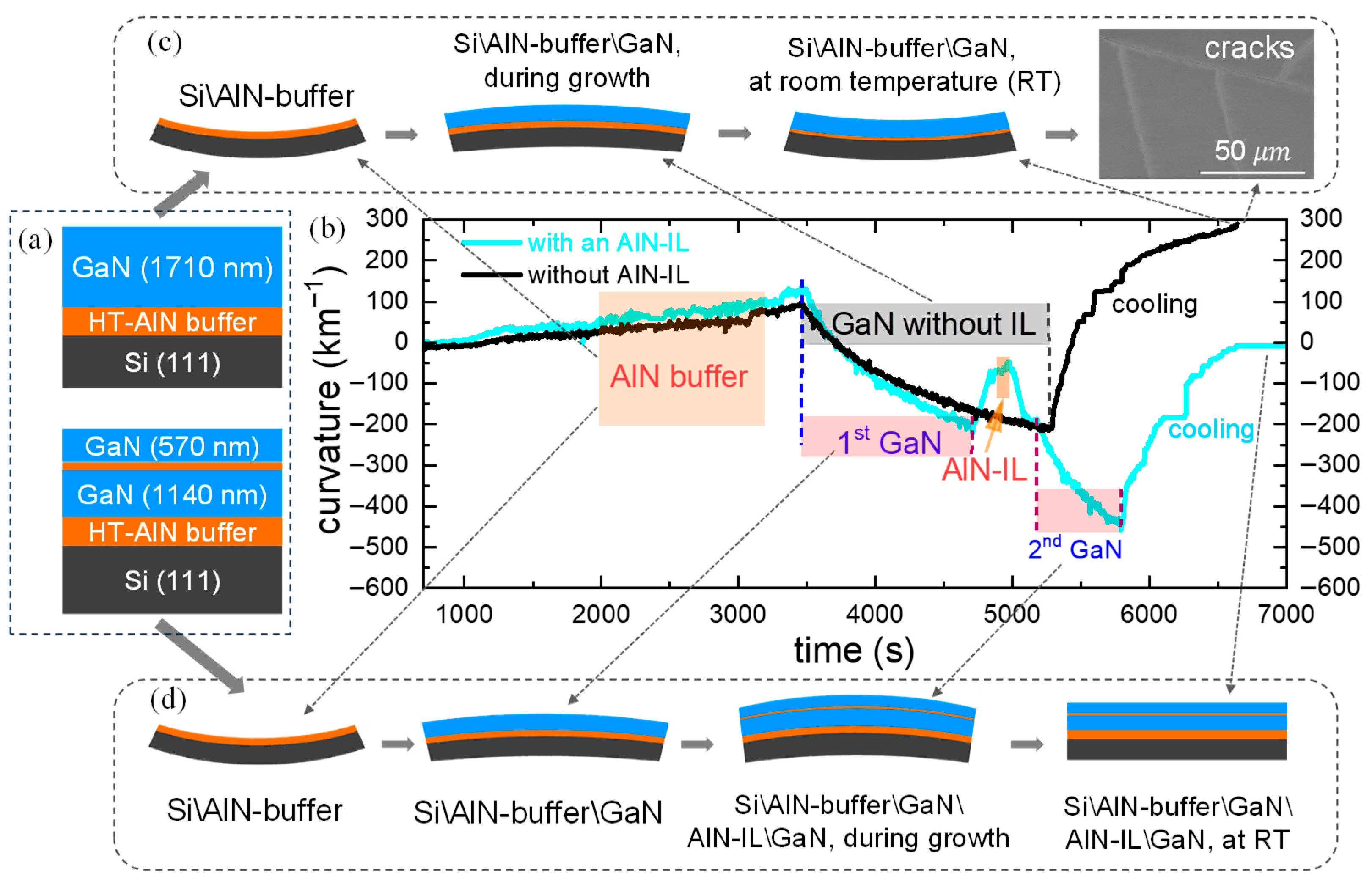 Inorganics 13 00302 g001