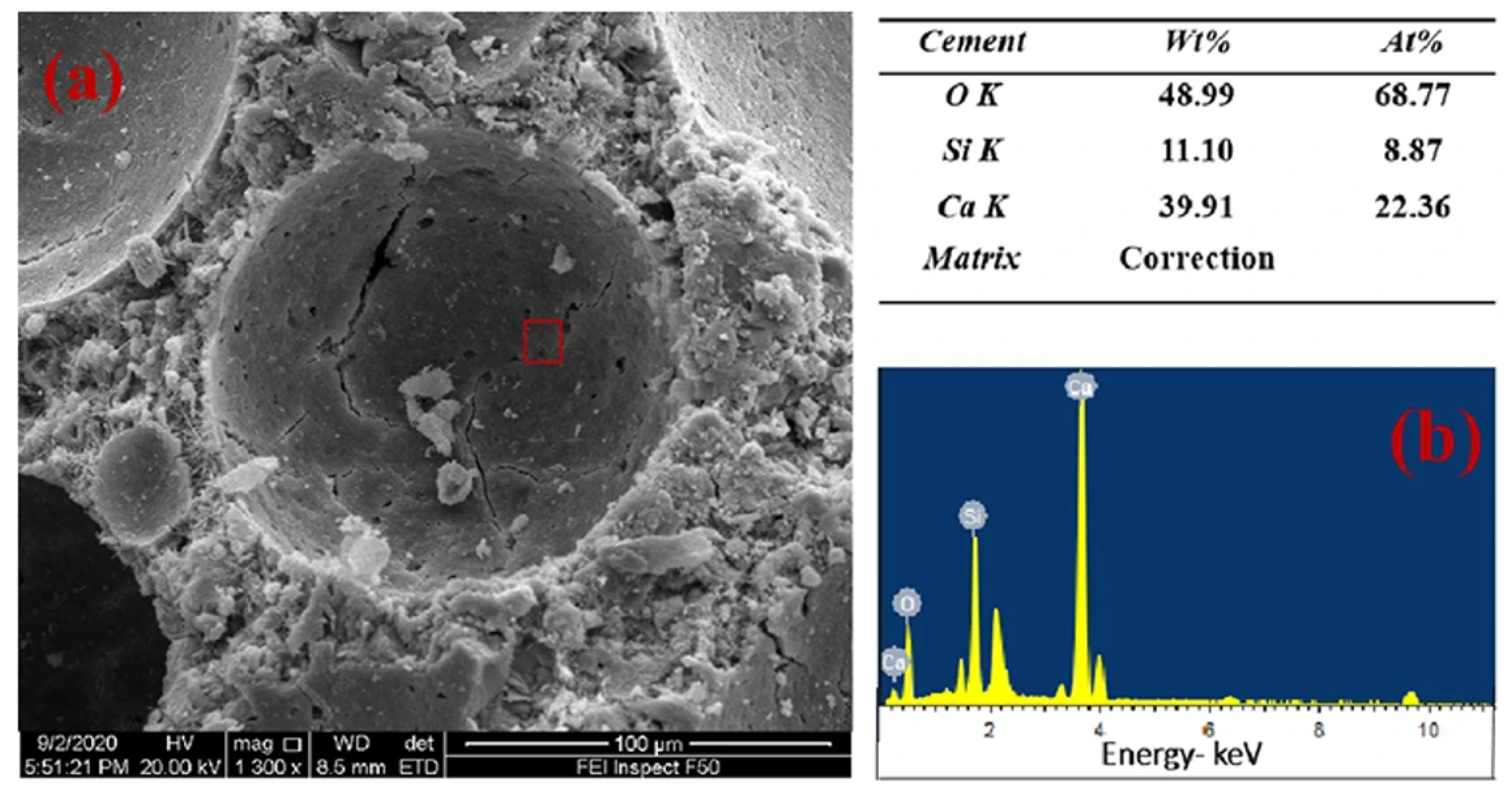 Inorganics 13 00305 g002