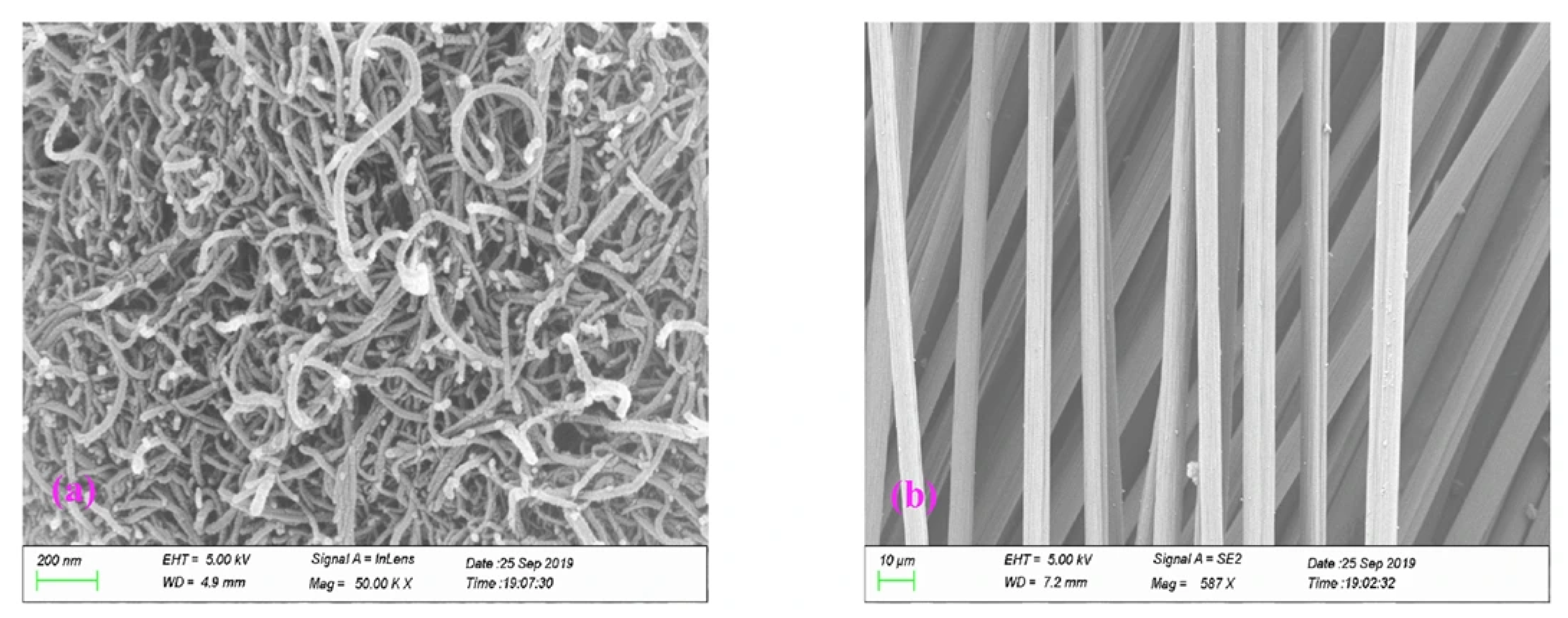 Inorganics 13 00305 g003