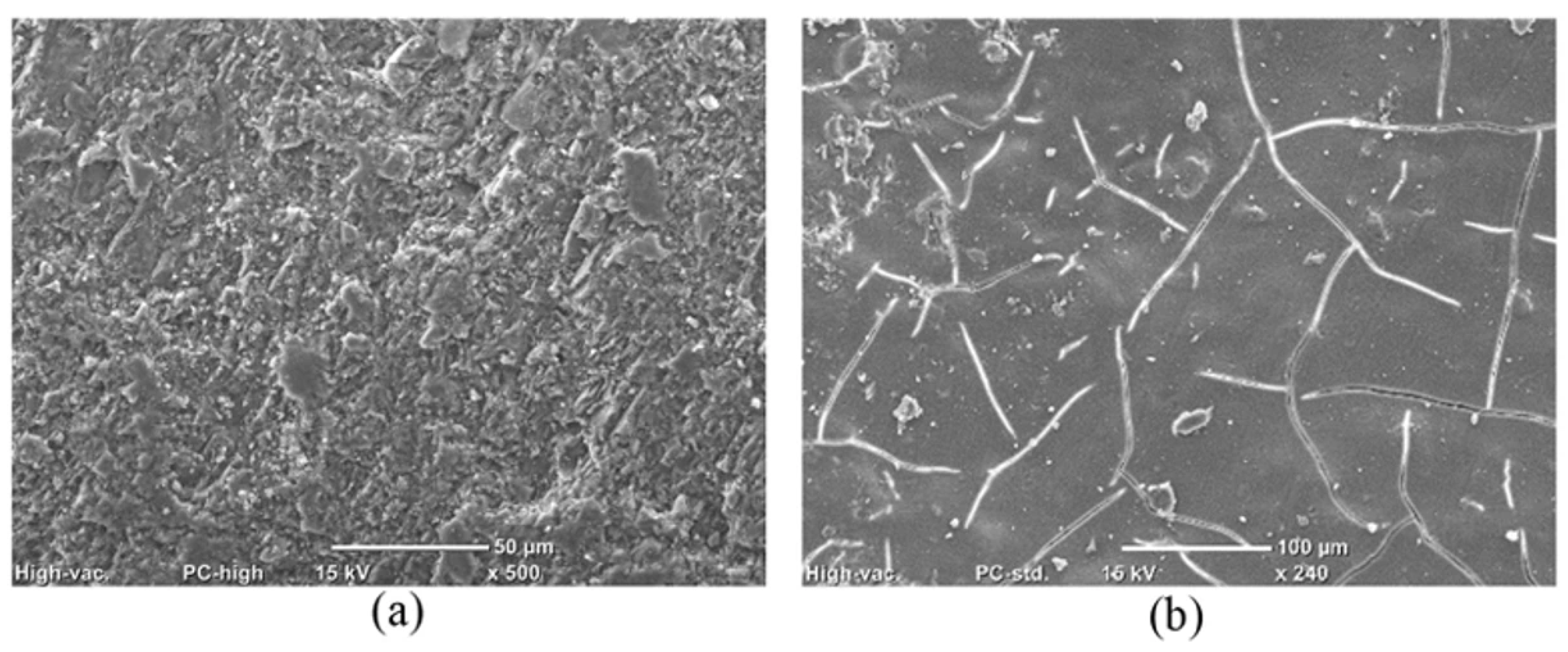 Inorganics 13 00305 g004