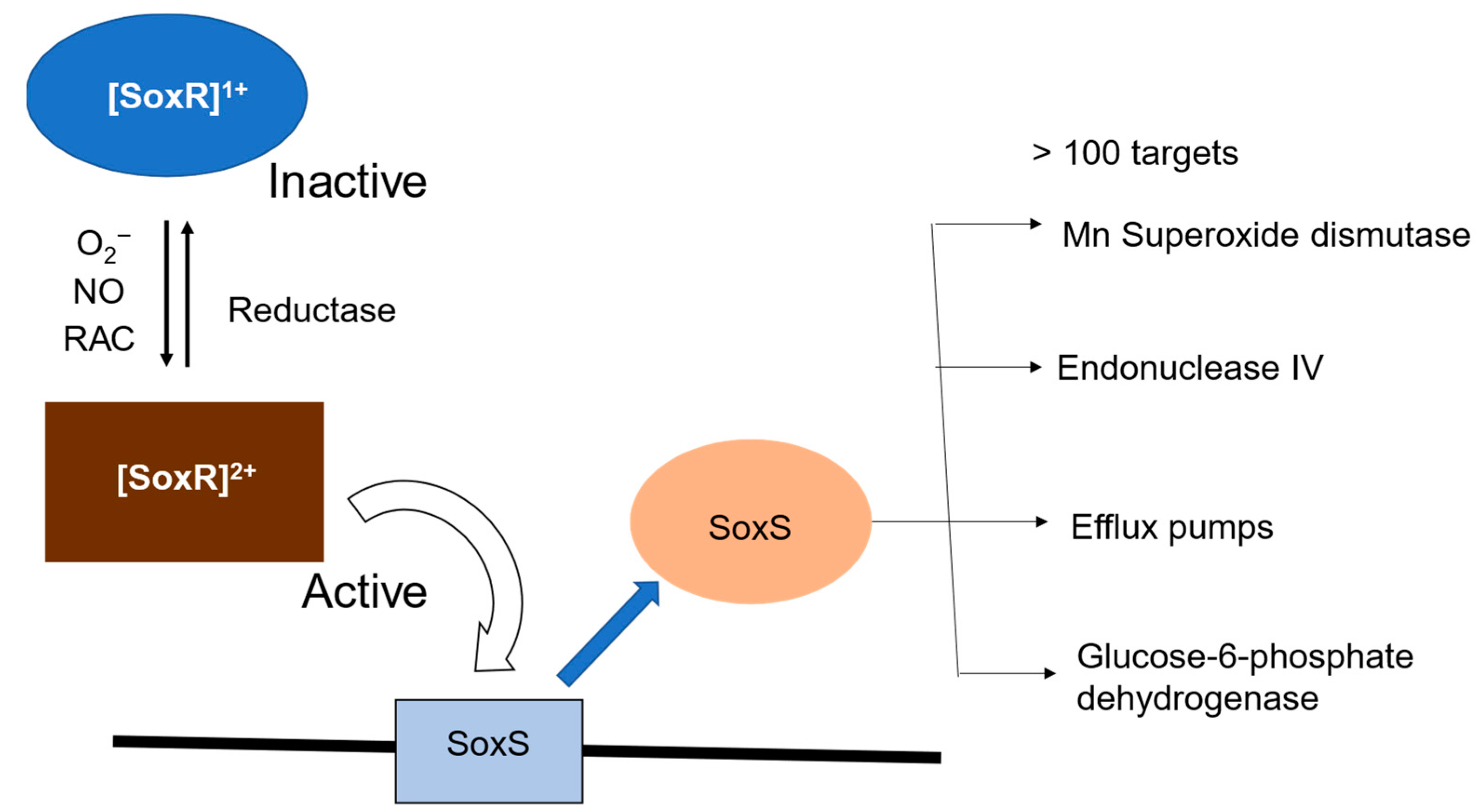 Inorganics 13 00307 g001