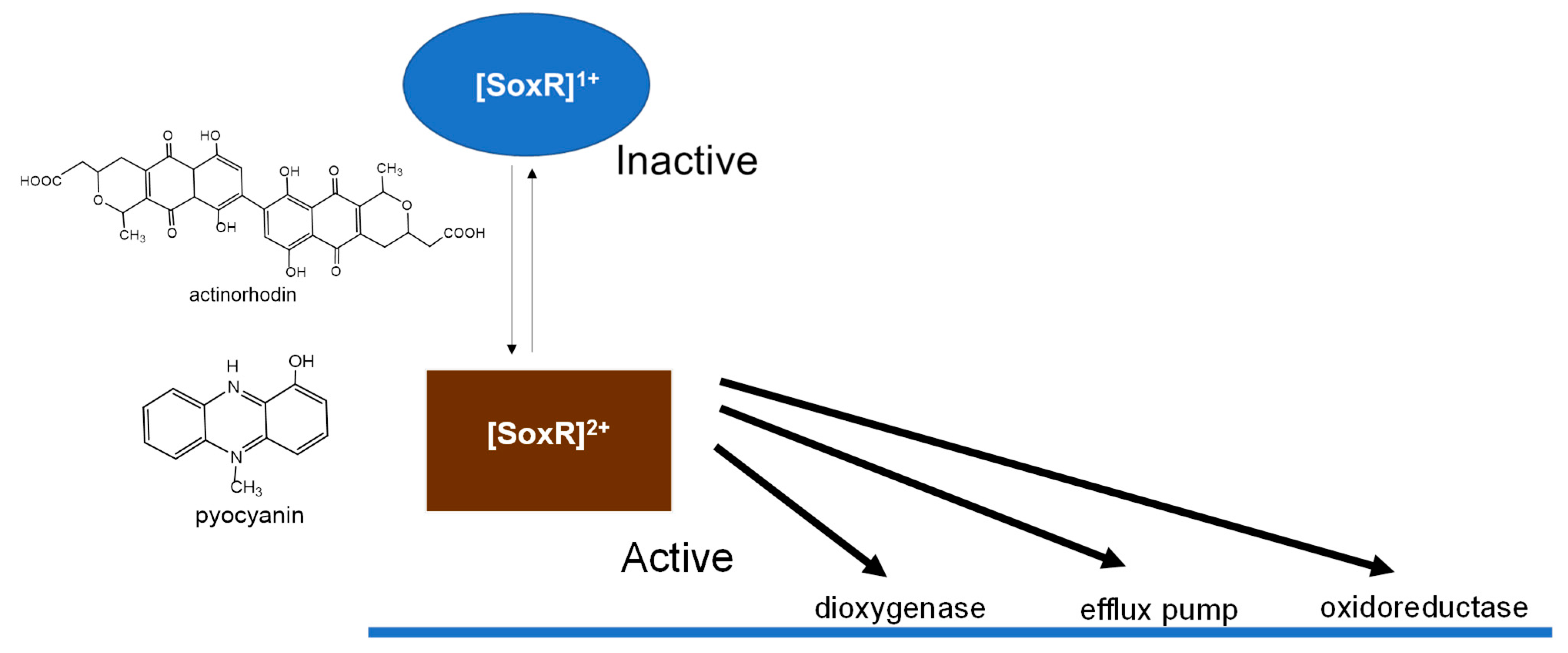 Inorganics 13 00307 g002