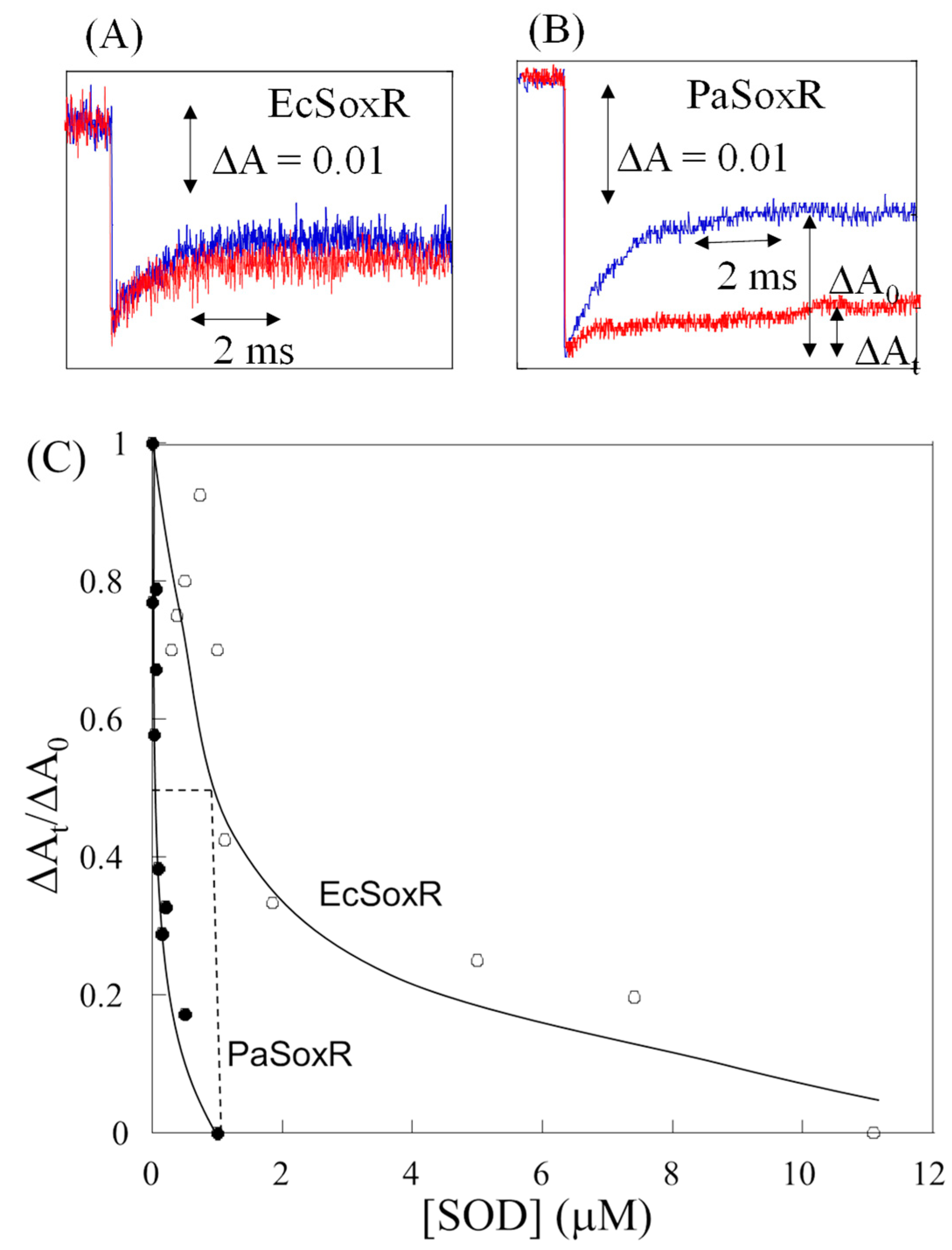 Inorganics 13 00307 g003