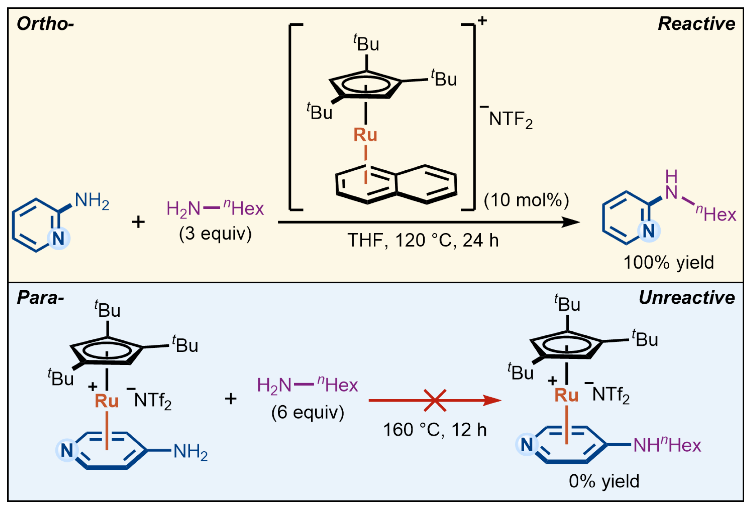 Inorganics 13 00316 sch001