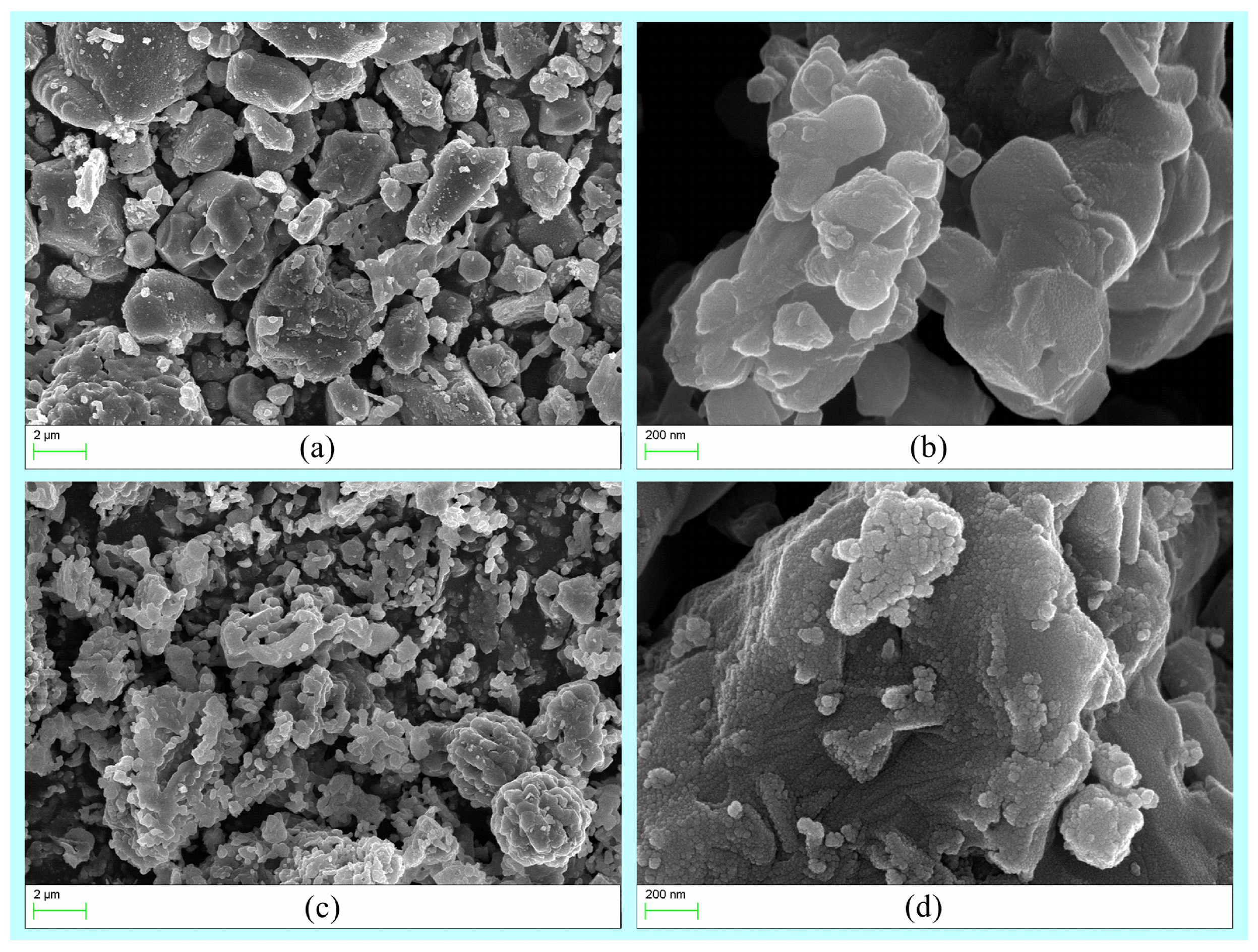 Inorganics 13 00317 g005