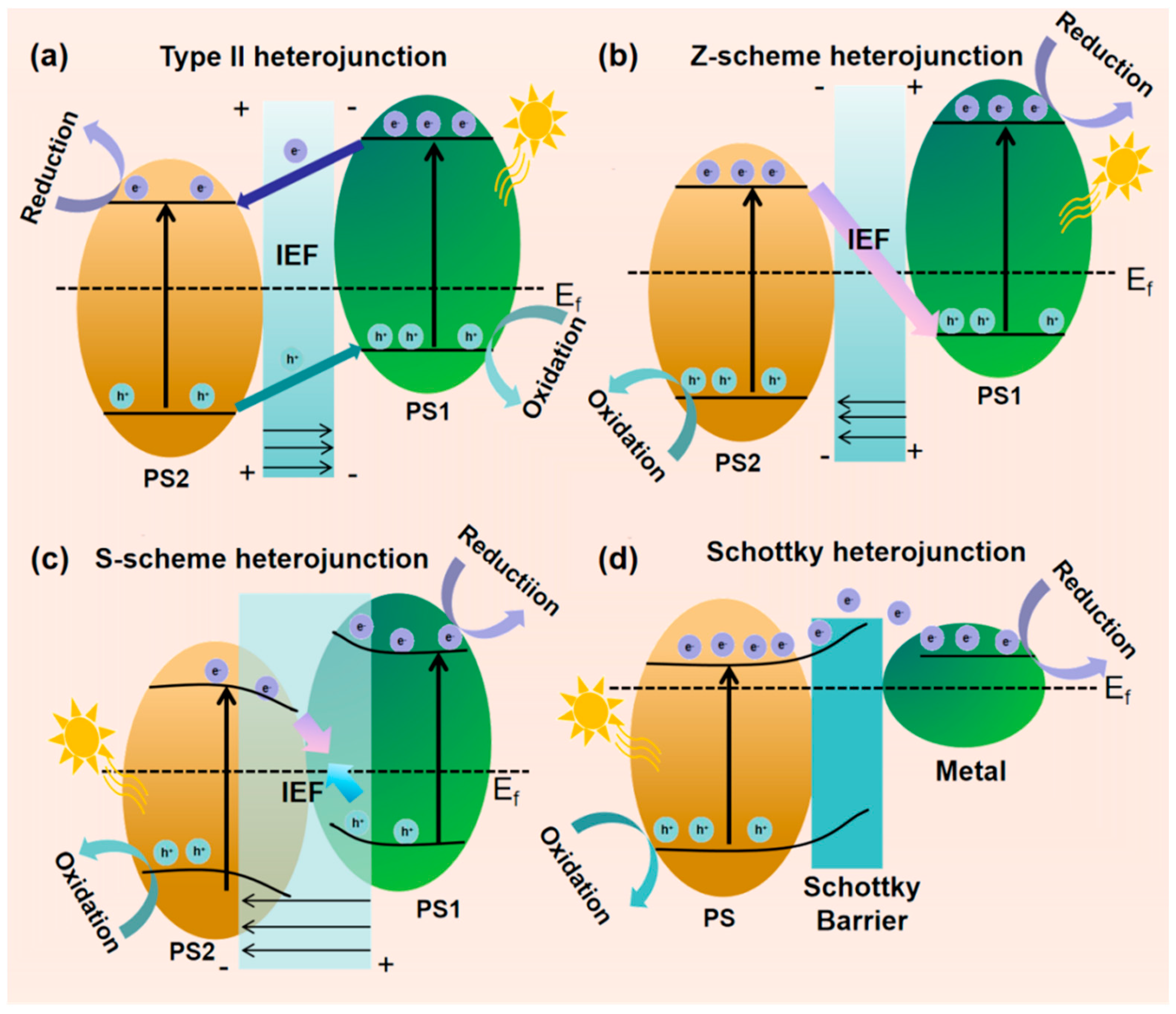 Inorganics 13 00319 g006