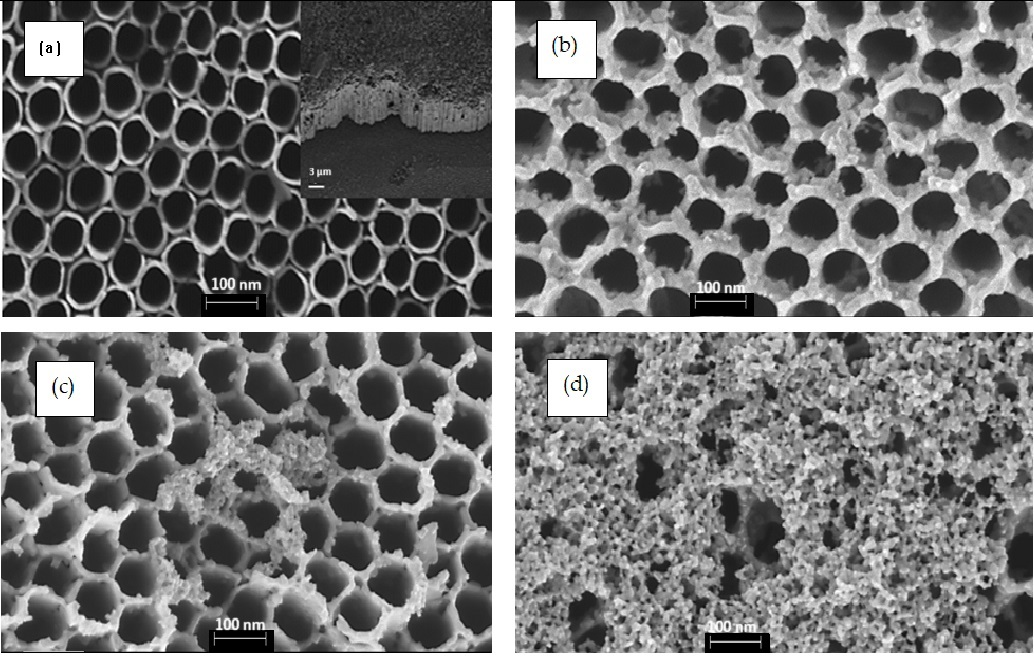 Inorganics 13 00320 g001a Inorganics 13 00320 g001a