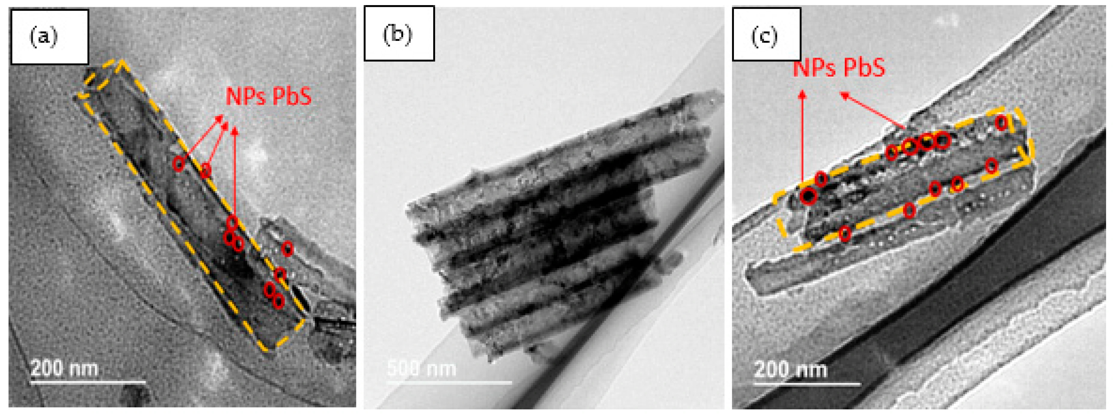 Inorganics 13 00320 g002 Inorganics 13 00320 g002