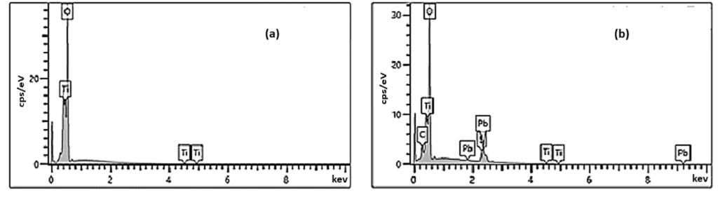 Inorganics 13 00320 g003 Inorganics 13 00320 g003