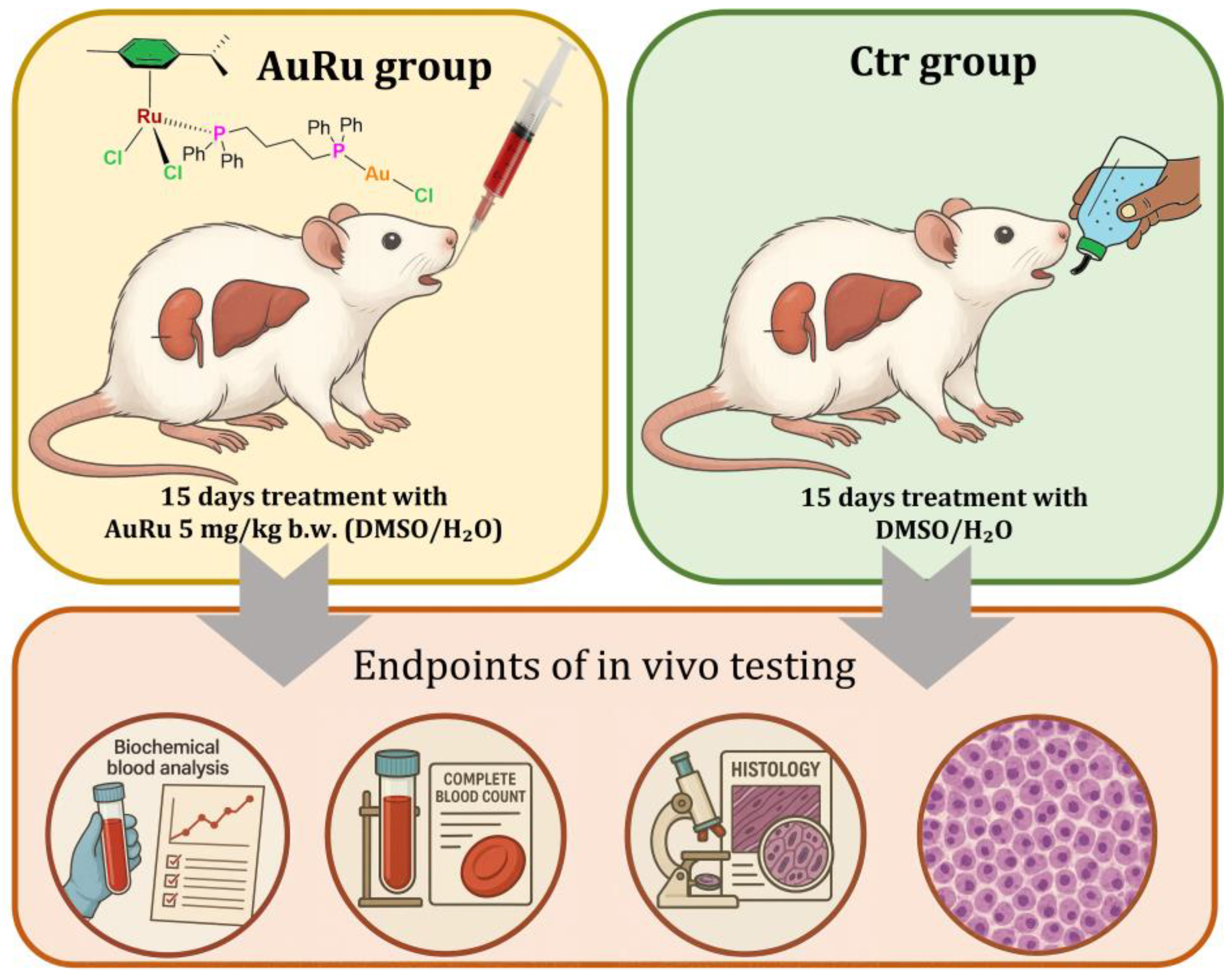 Inorganics 13 00323 g009