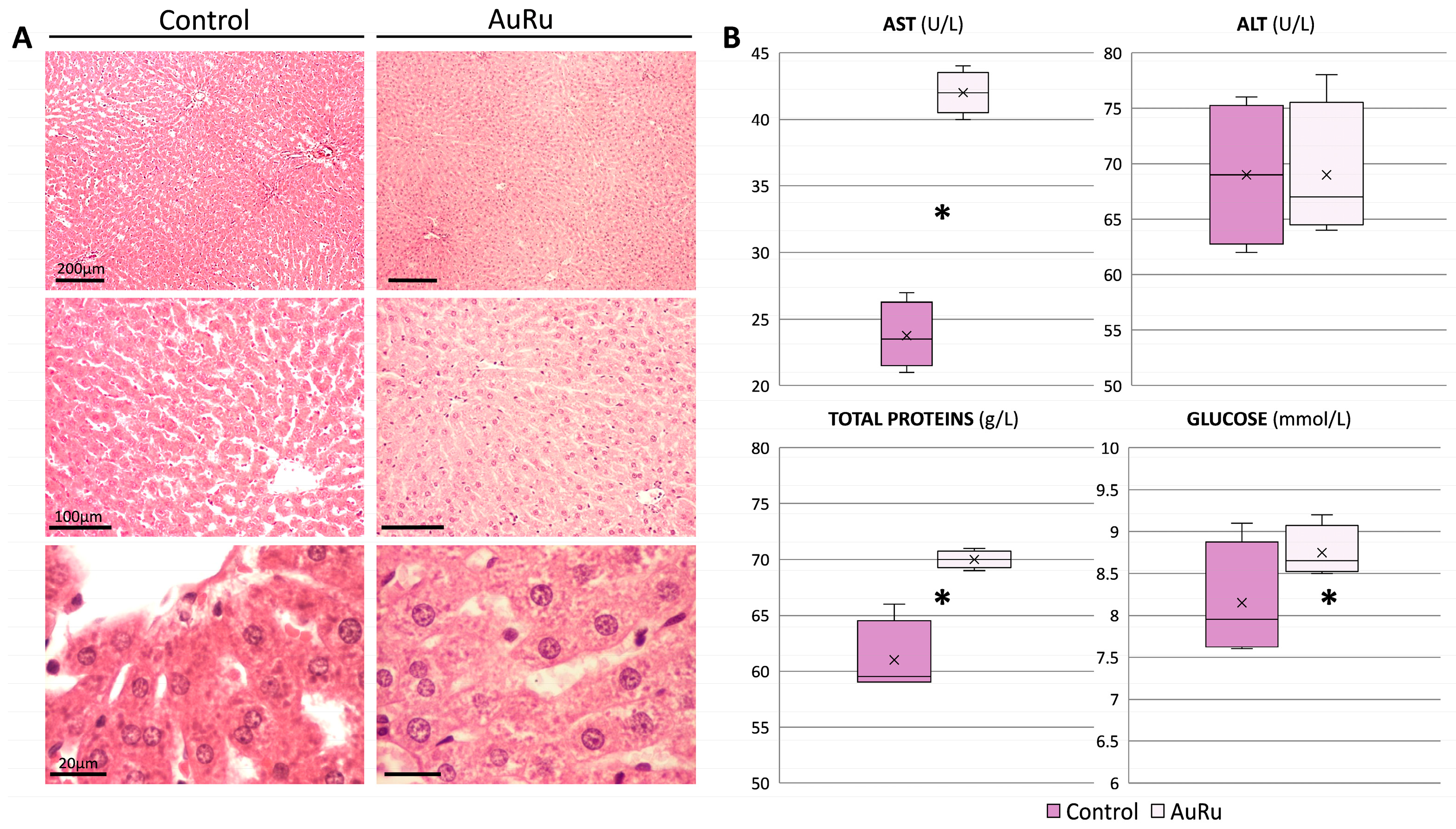 Inorganics 13 00323 g010