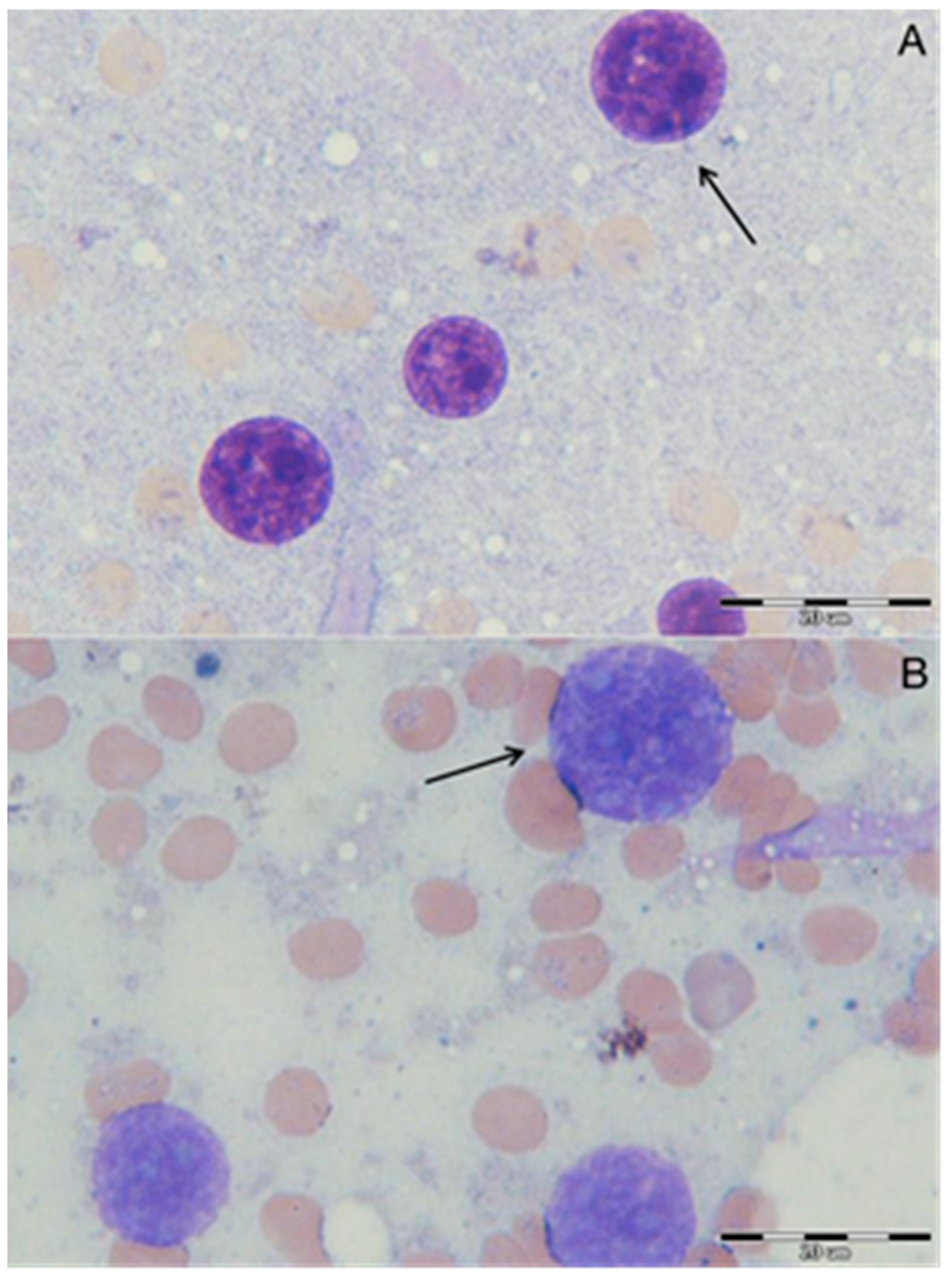 Inorganics 13 00323 g012