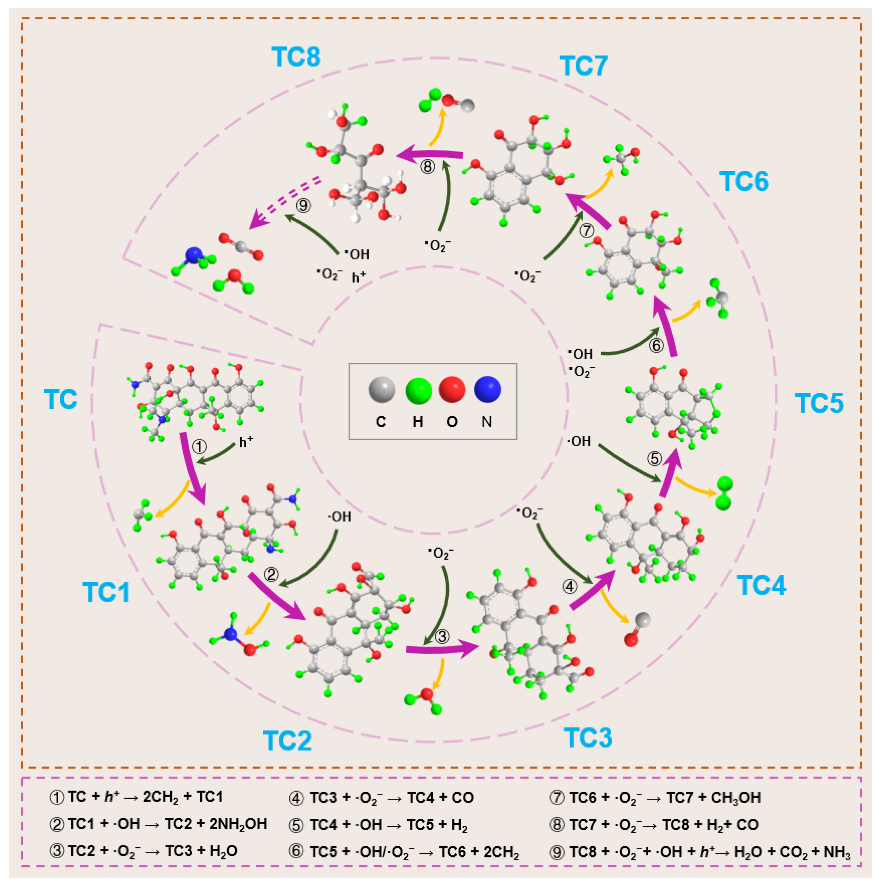 Inorganics 13 00324 g011