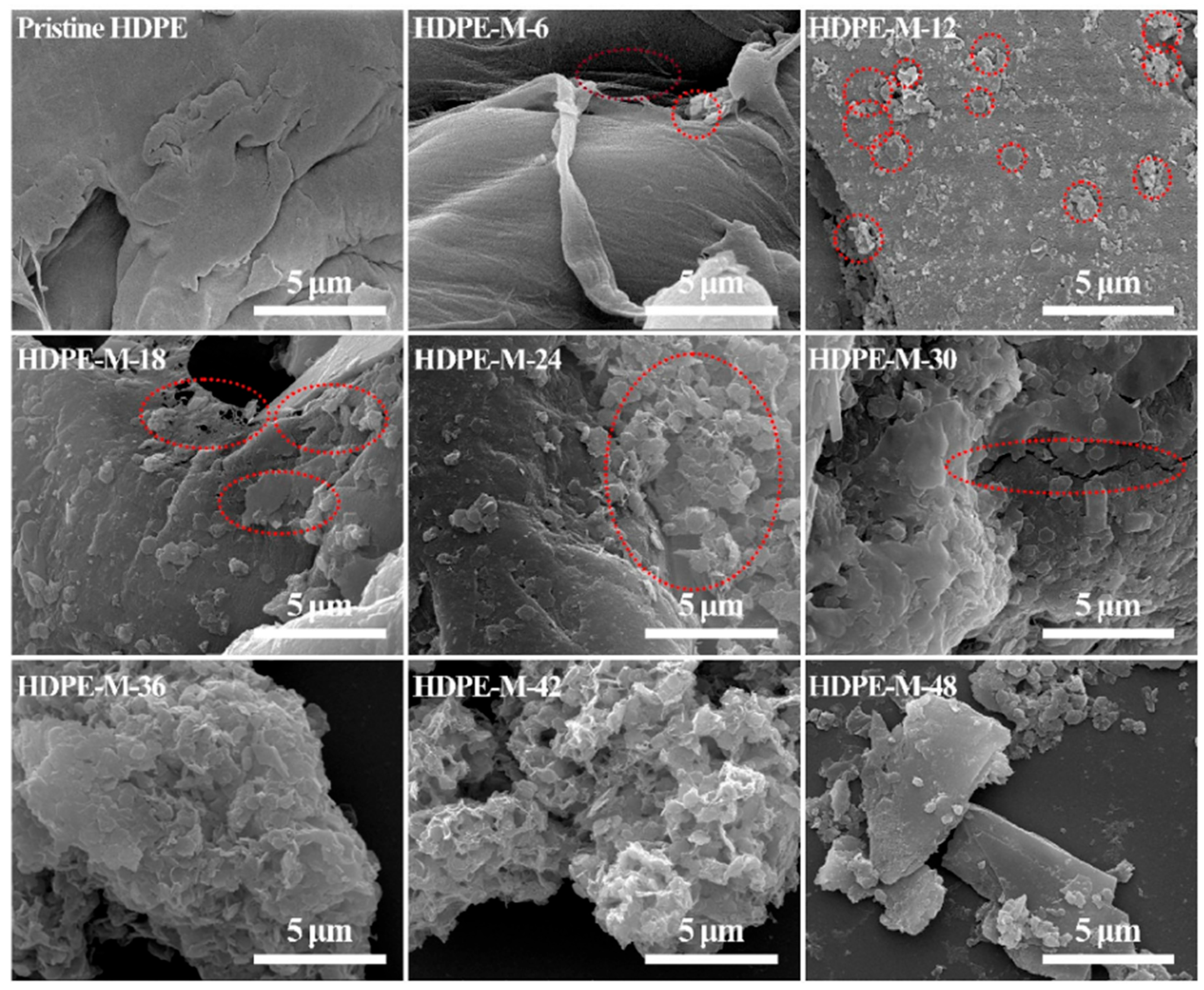 Inorganics 13 00324 g014