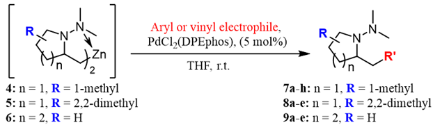 Inorganics 13 00328 i002 Inorganics 13 00328 i002