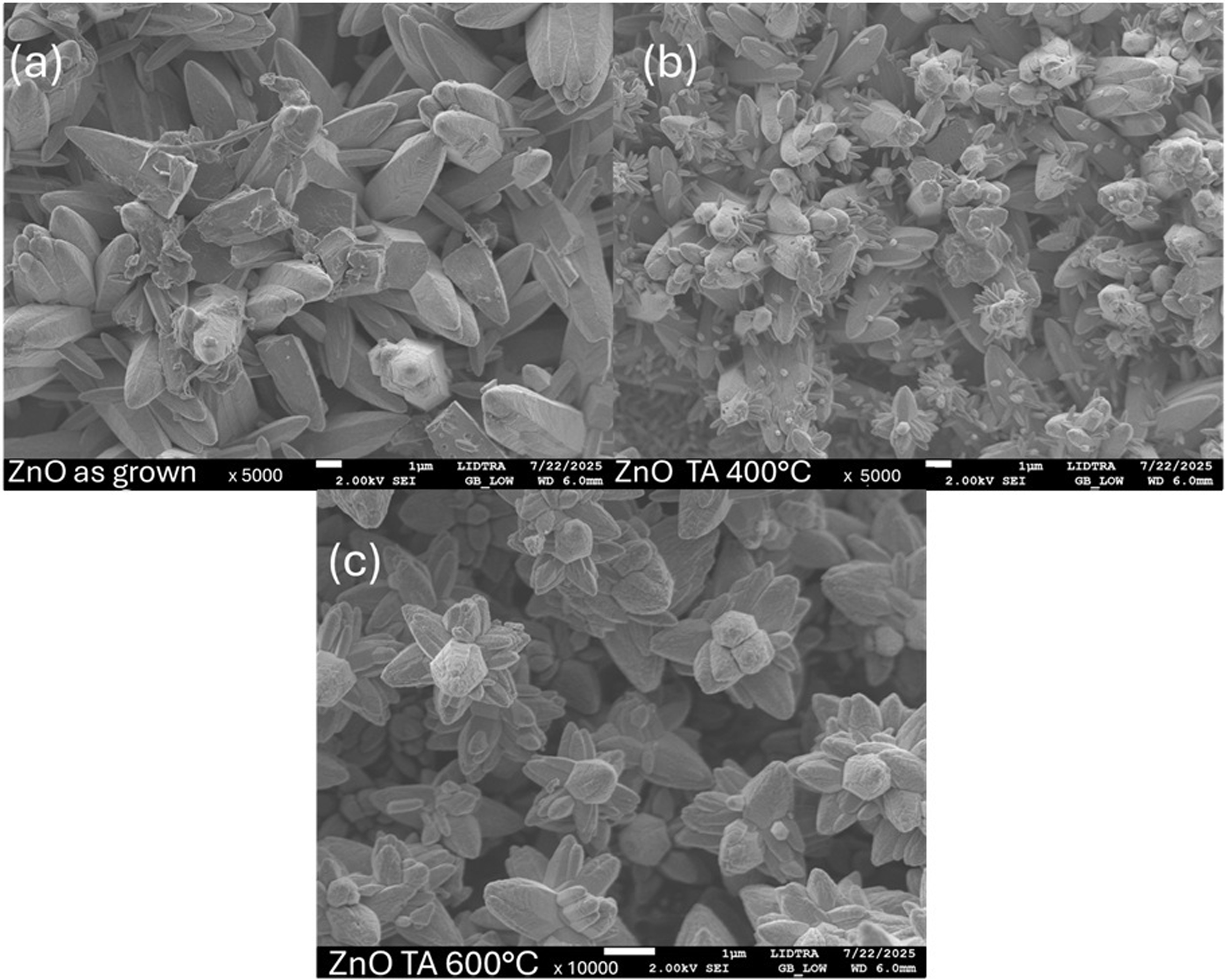 Inorganics 13 00331 g004