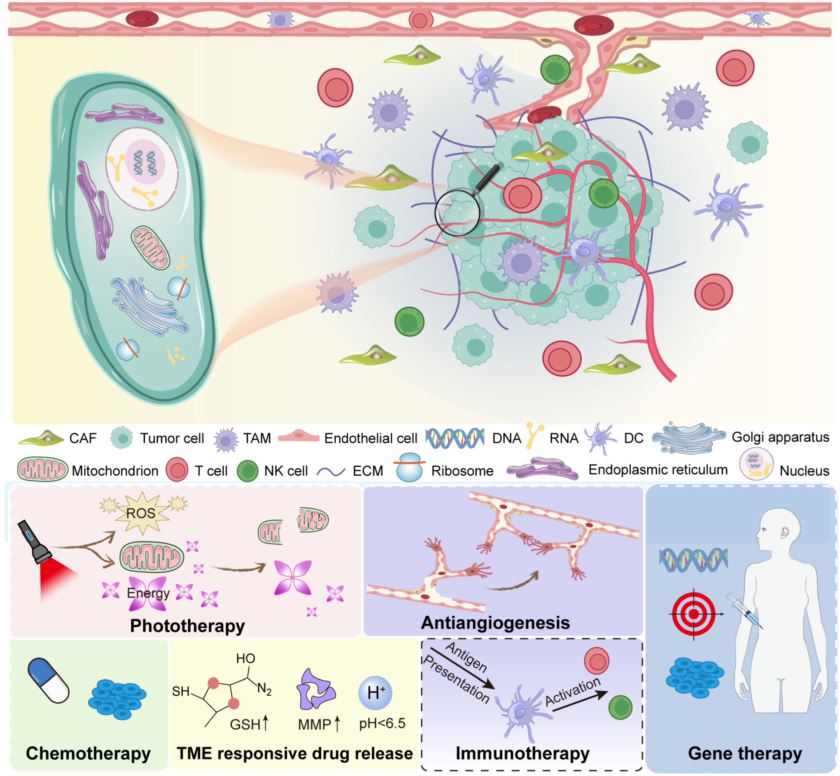 Inorganics 13 00337 g001