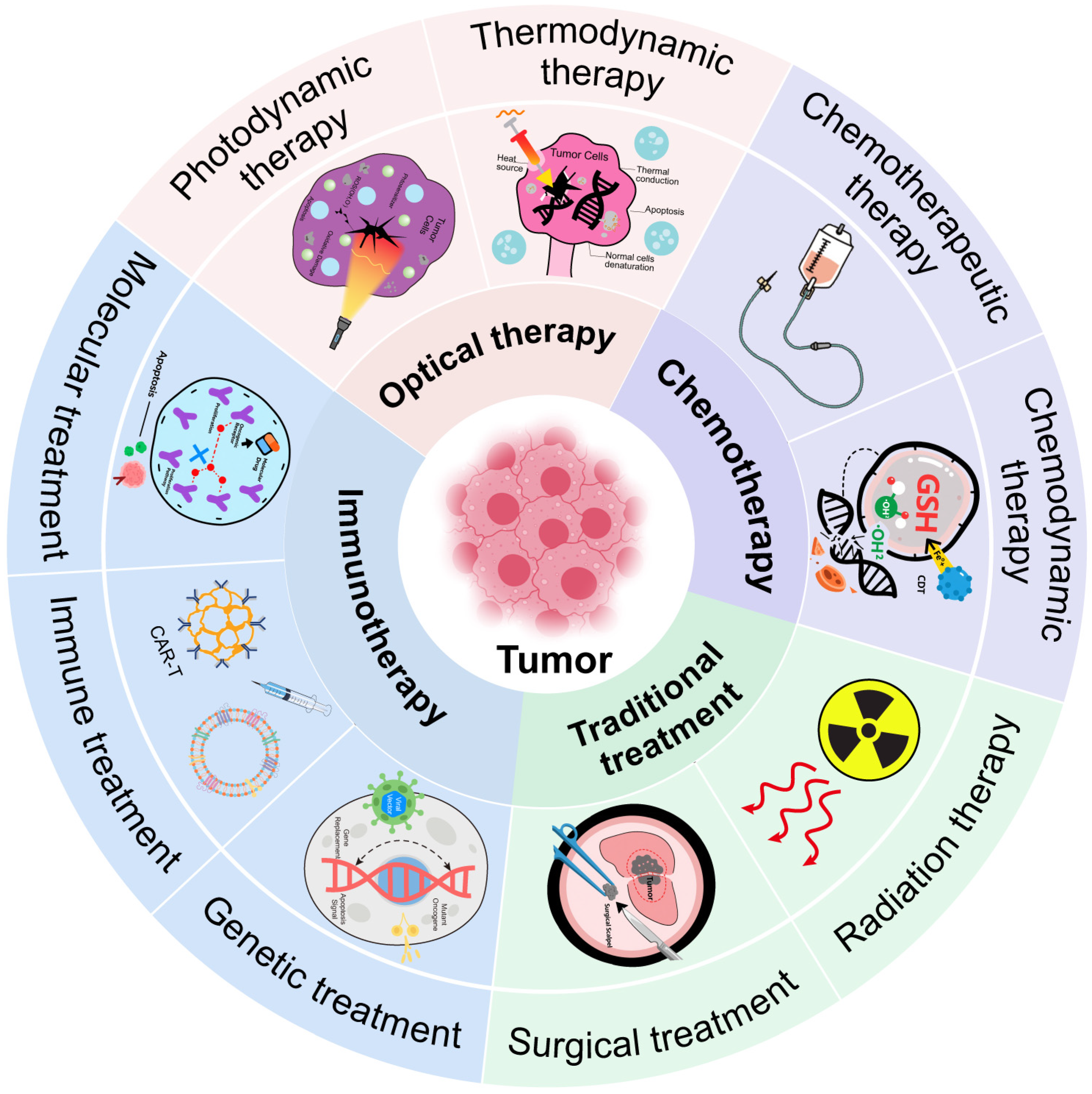 Inorganics 13 00337 g002
