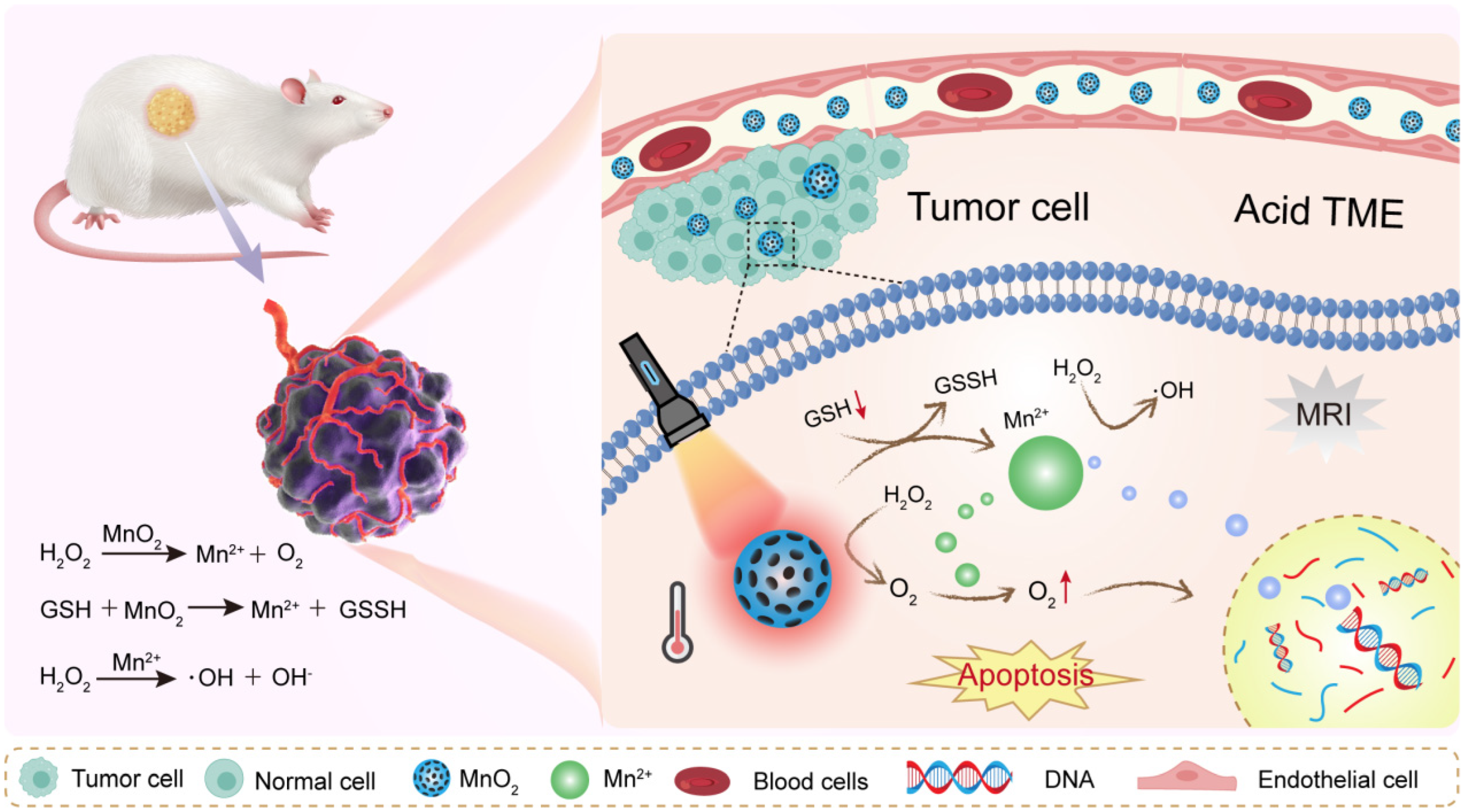 Inorganics 13 00337 g003