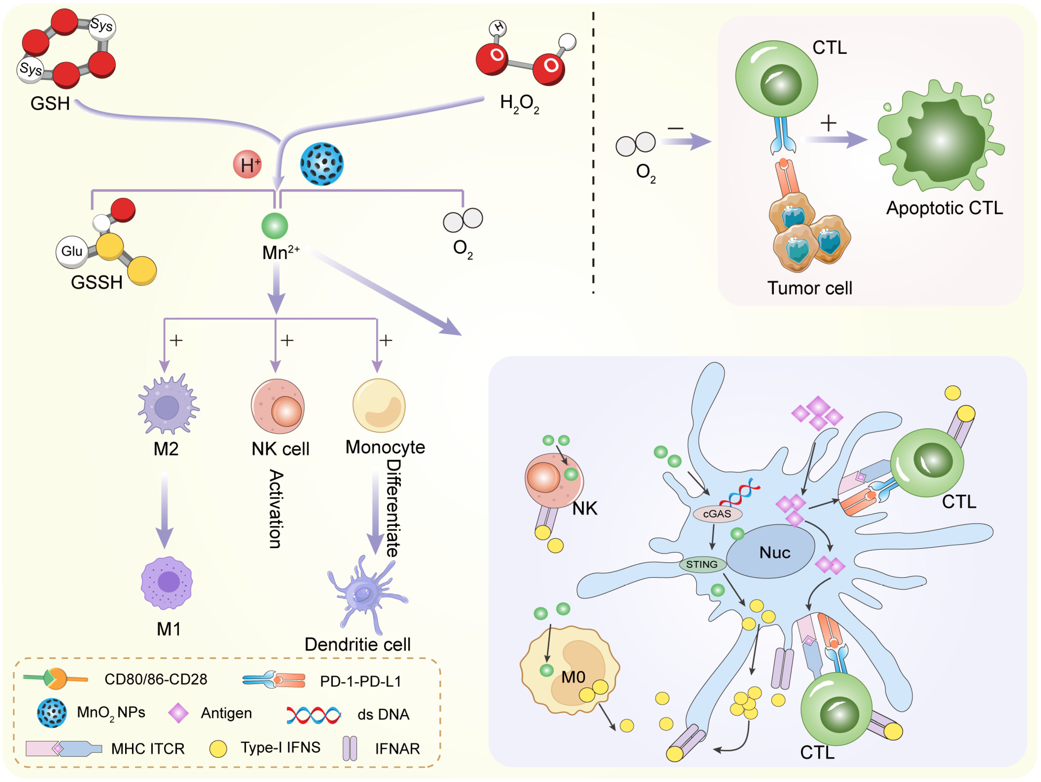 Inorganics 13 00337 g005