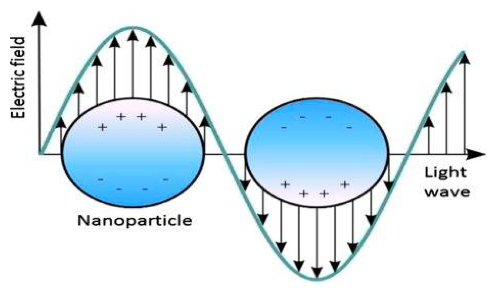 Inorganics 13 00341 g001